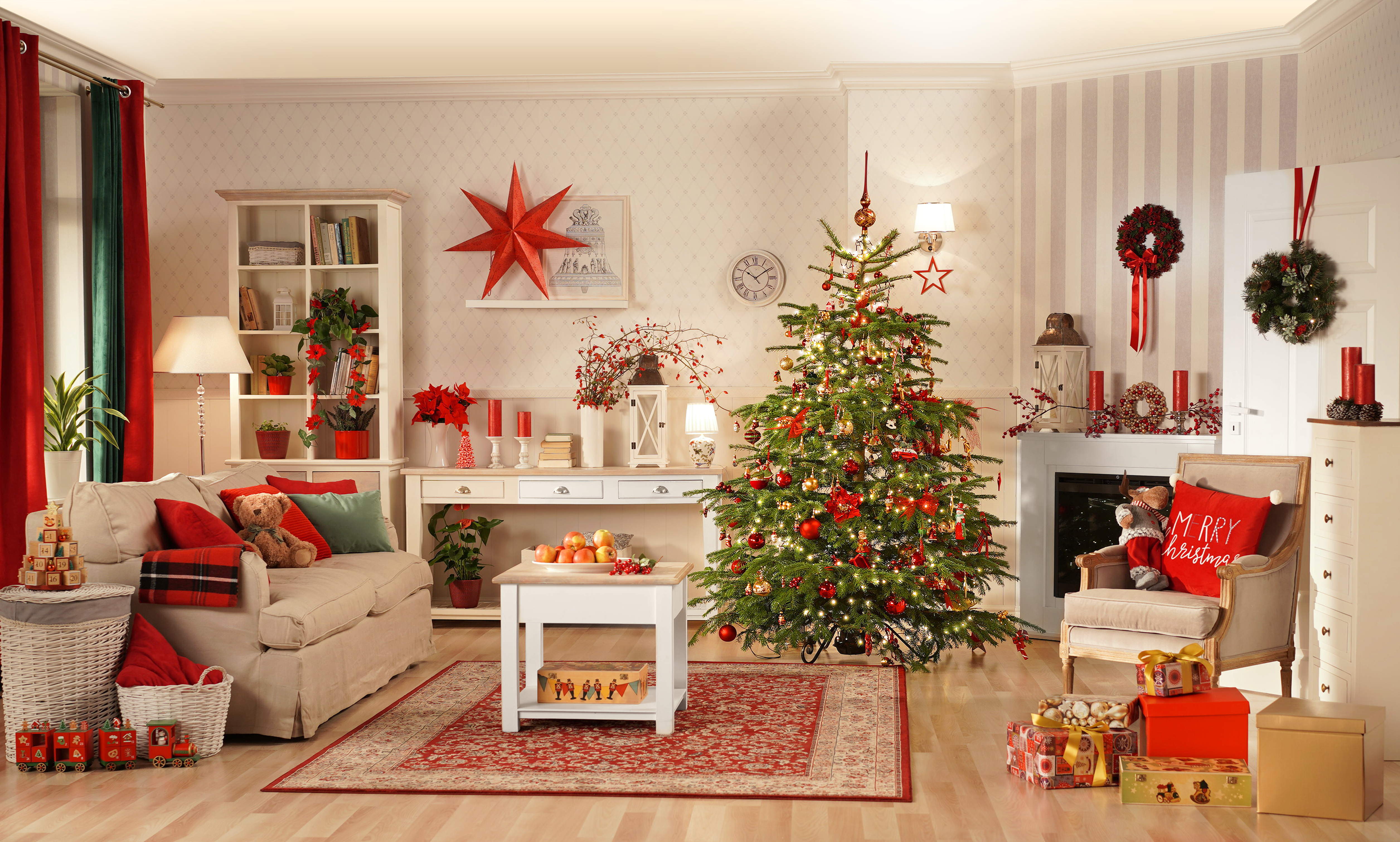 Jodła kaukaska 175-225cm choinka żywa cięta - 3