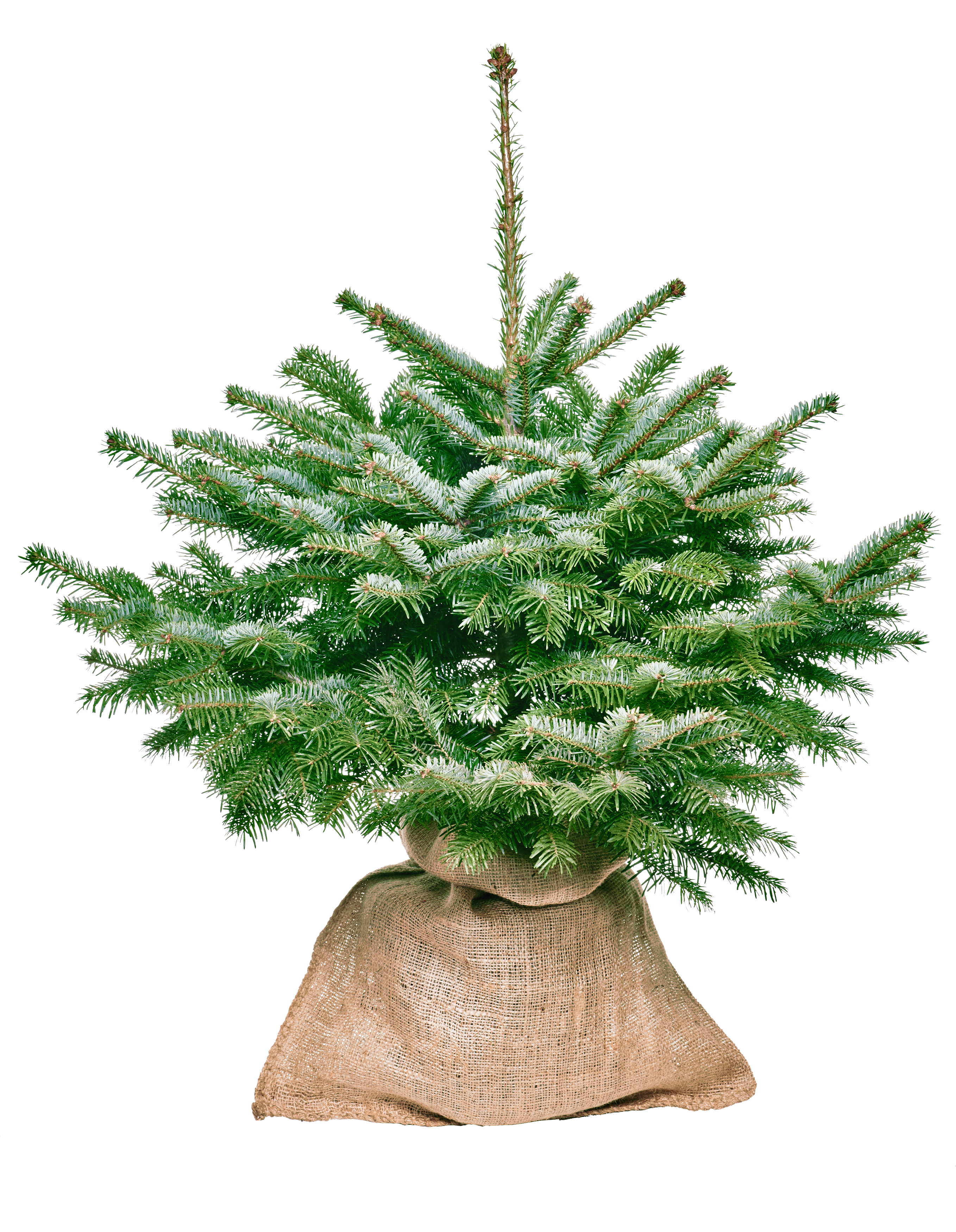 Worek jutowy 50x80 cm 25l Rim Kowalczyk - 2