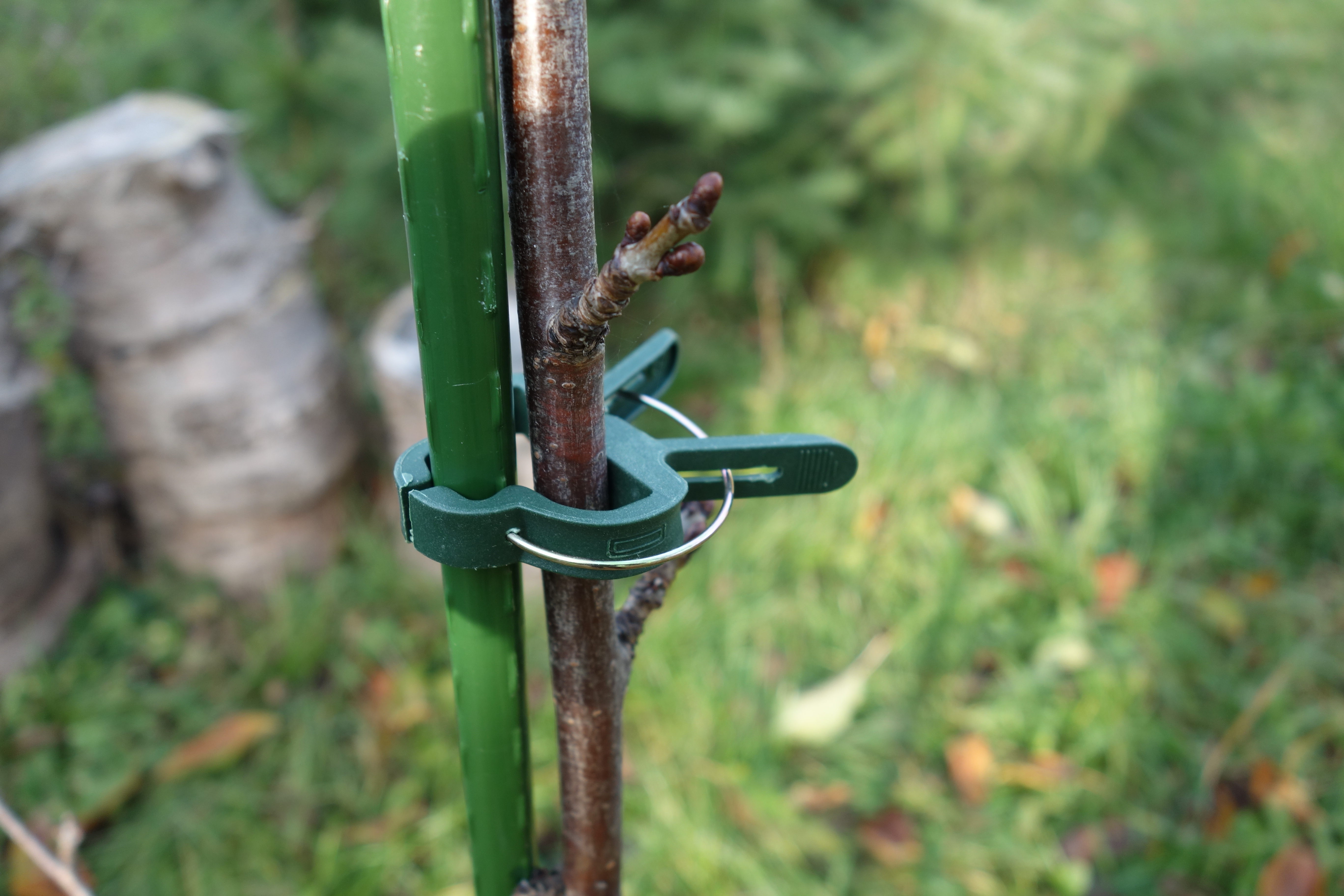 Klipsy ogrodowe duże 10szt. plastikowe - 2