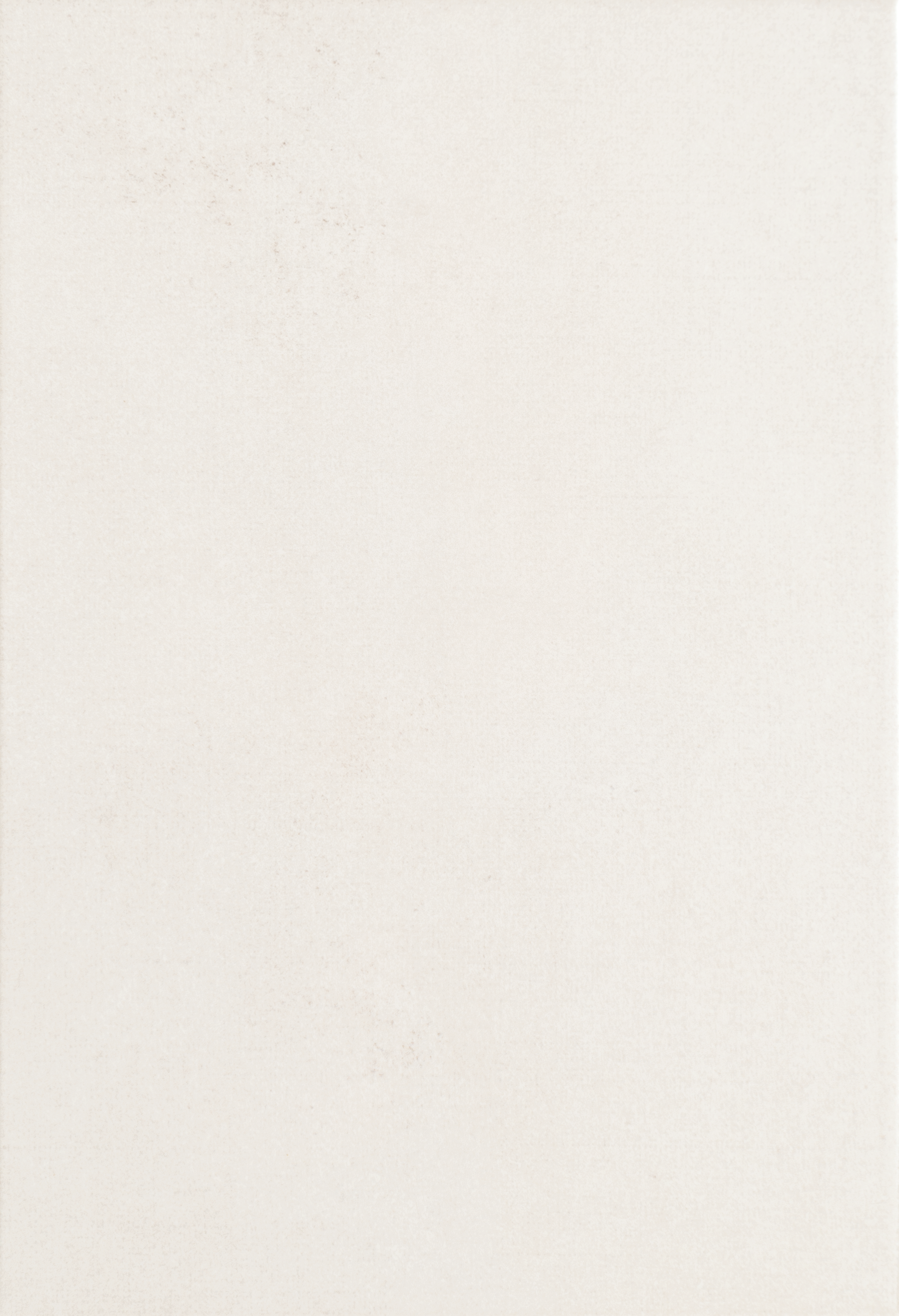 Glazura Punto Gloss 25x36 Arte