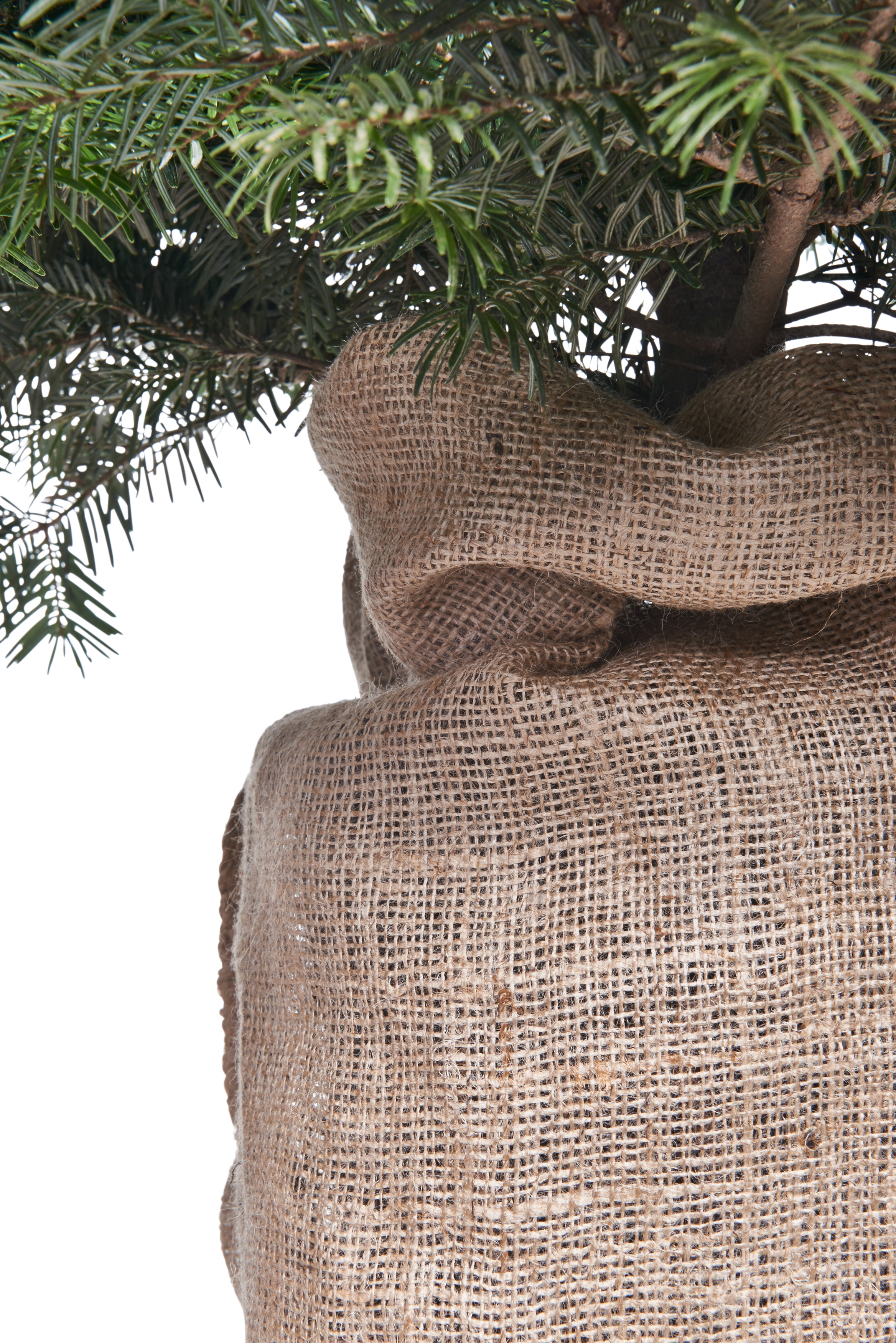 Worek jutowy 50x80 cm 25l Rim Kowalczyk - 6