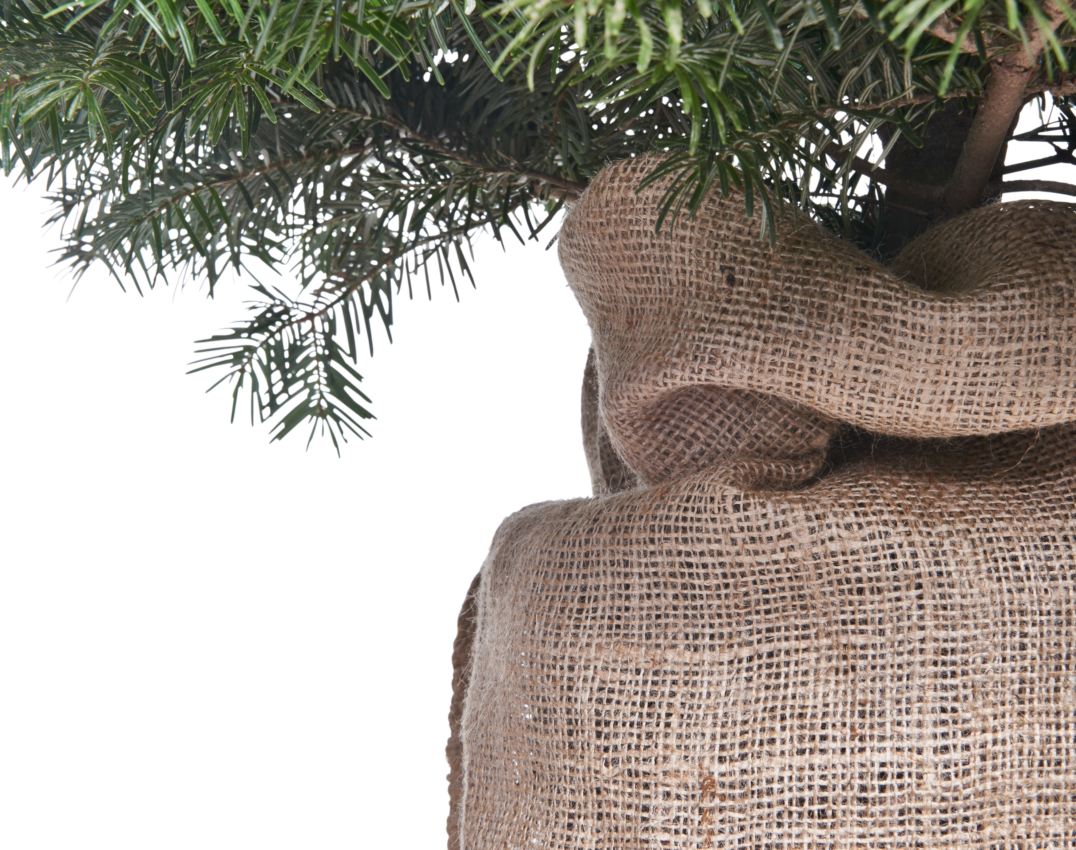 Worek jutowy 50x80 cm 25l Rim Kowalczyk - 5