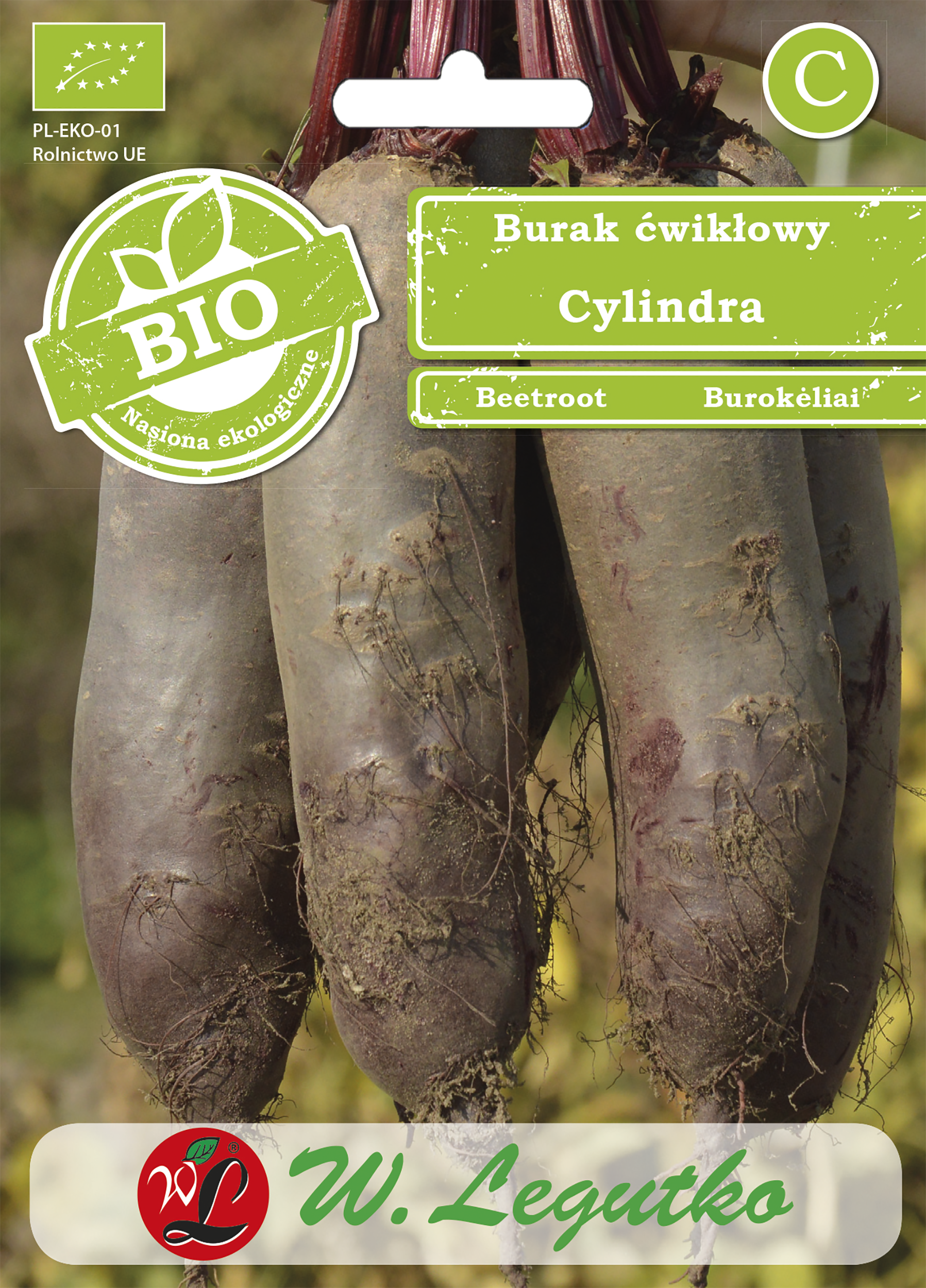 Burak ćwikłowy Bio Cylindra nasiona W. Legutko