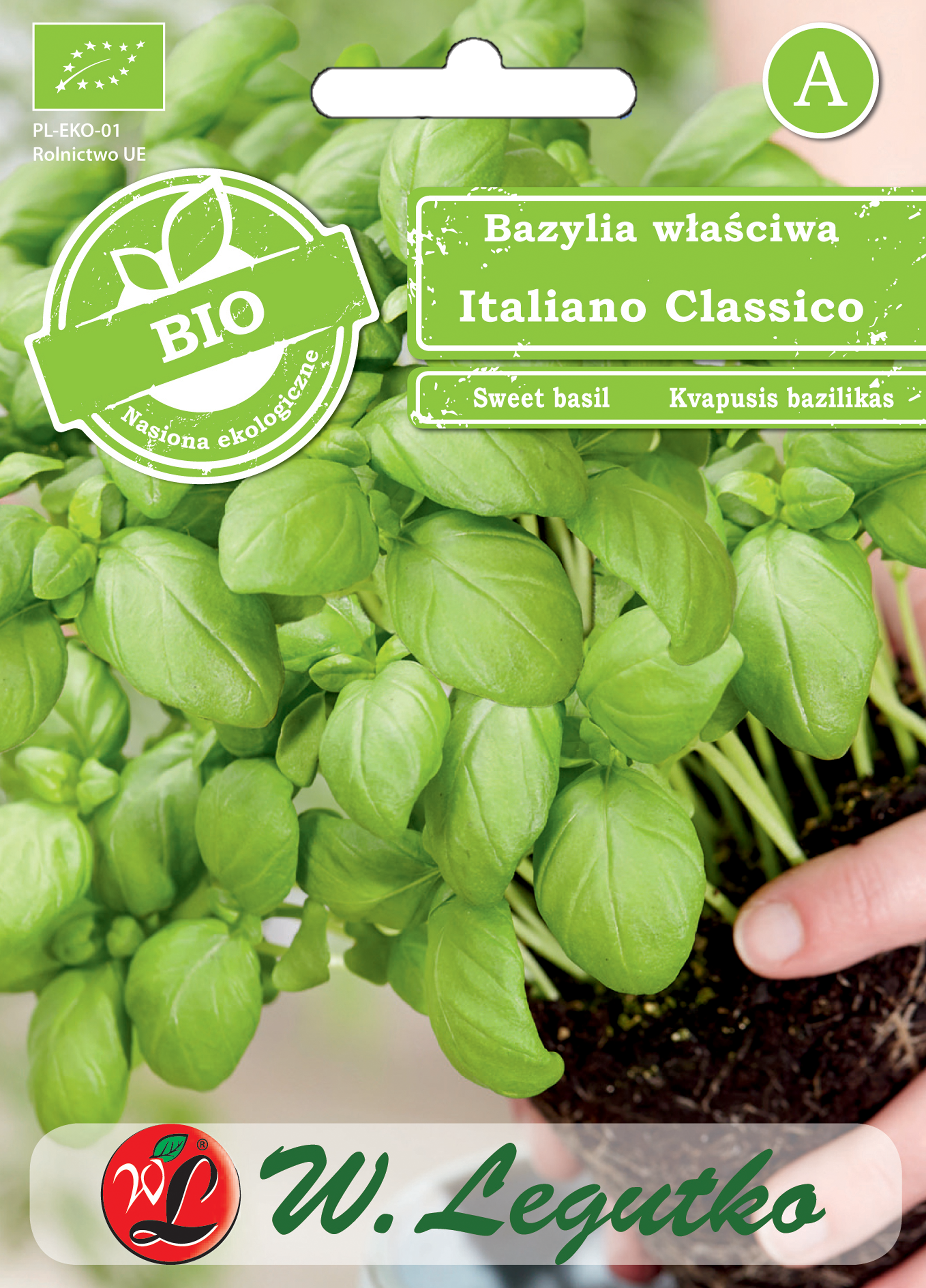 Bazylia właściwa Bio Italiano Classico nasiona ekologiczne W. Legutko