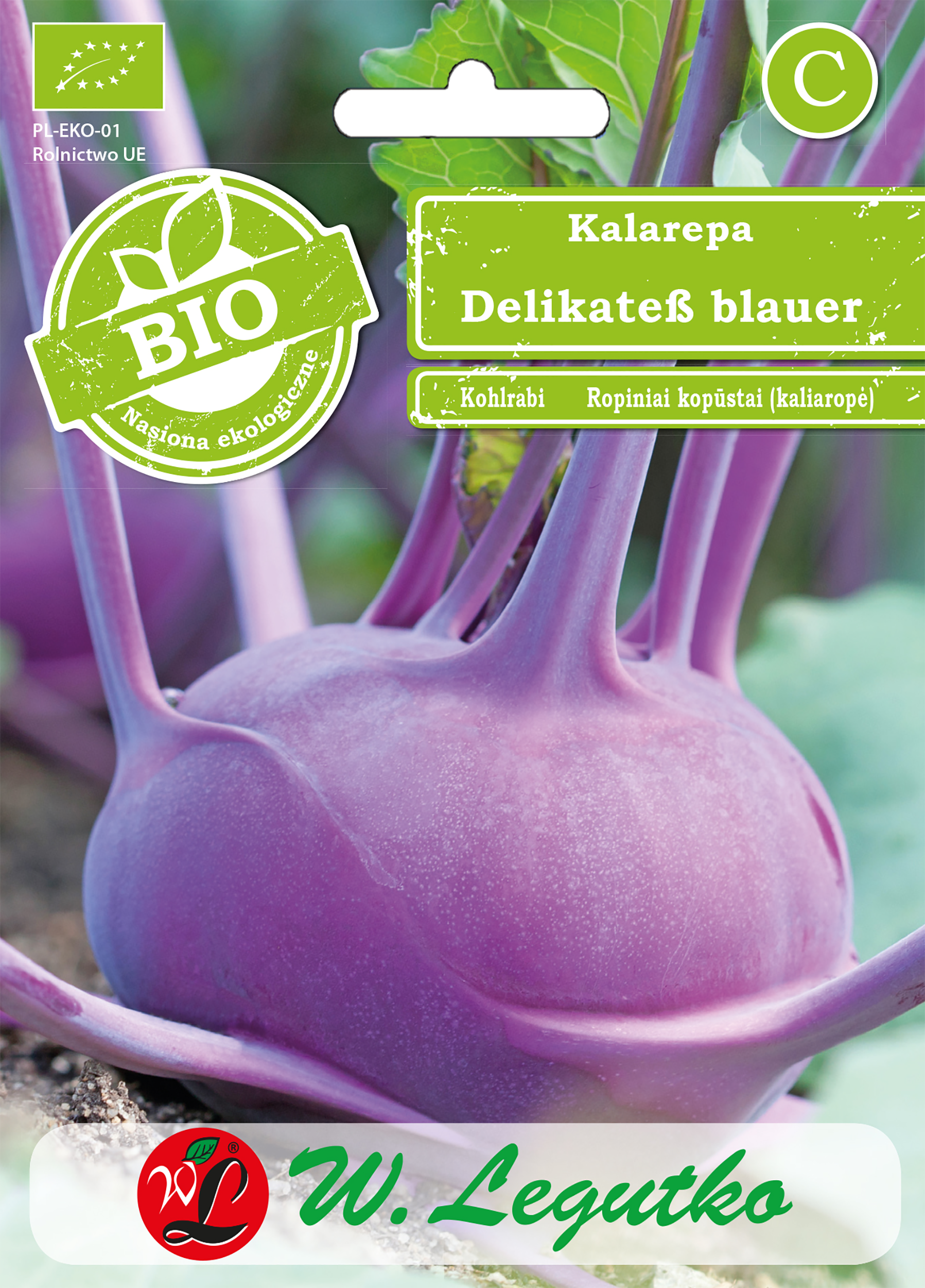 Kalarepa Bio 'Delikatess blauer' nasiona ekoloiczne W. Legutko