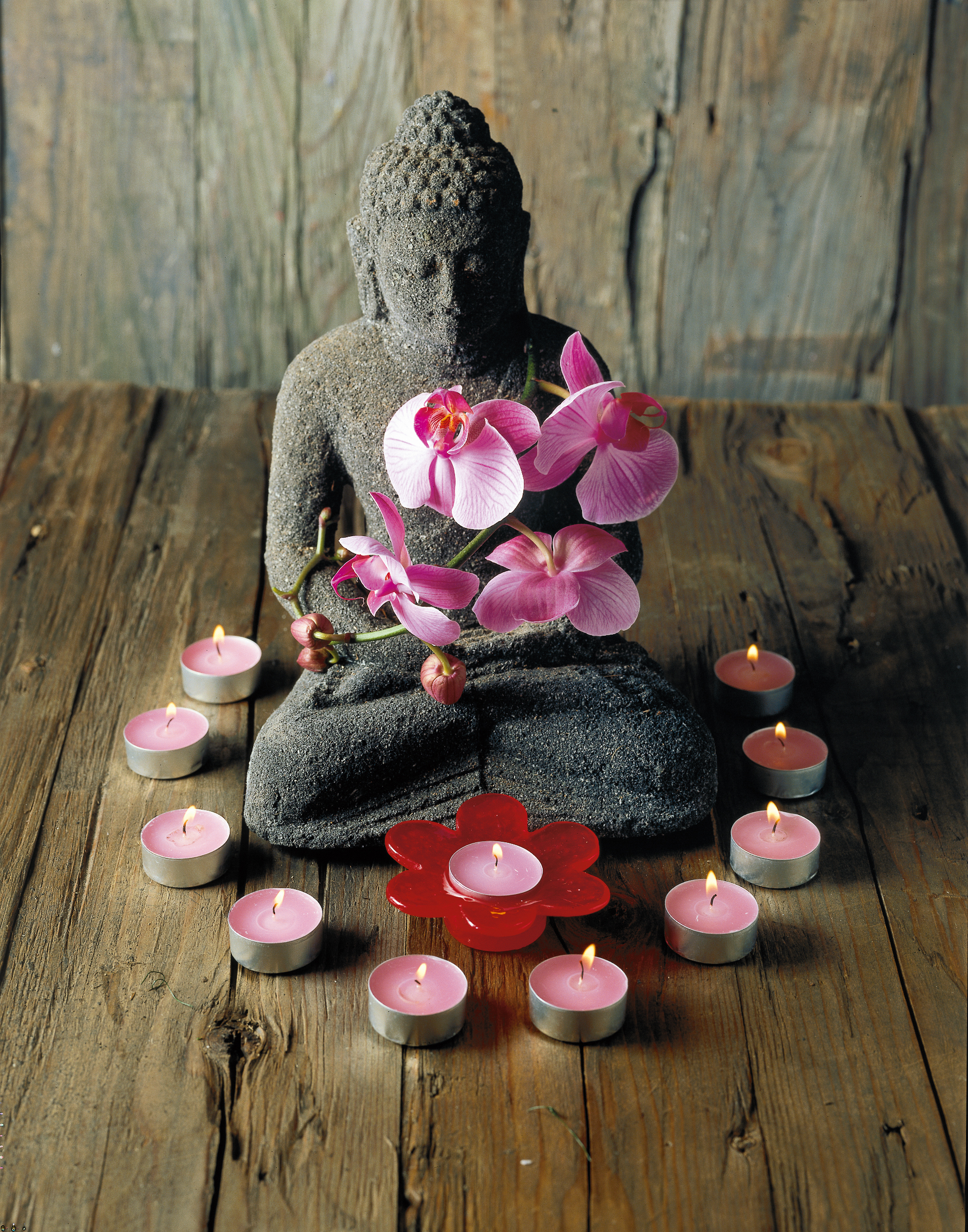 Tealight BOLSIUS  essenza orchidea  Ø 19.5 cm H 3 cm, 18 pezzi - 3