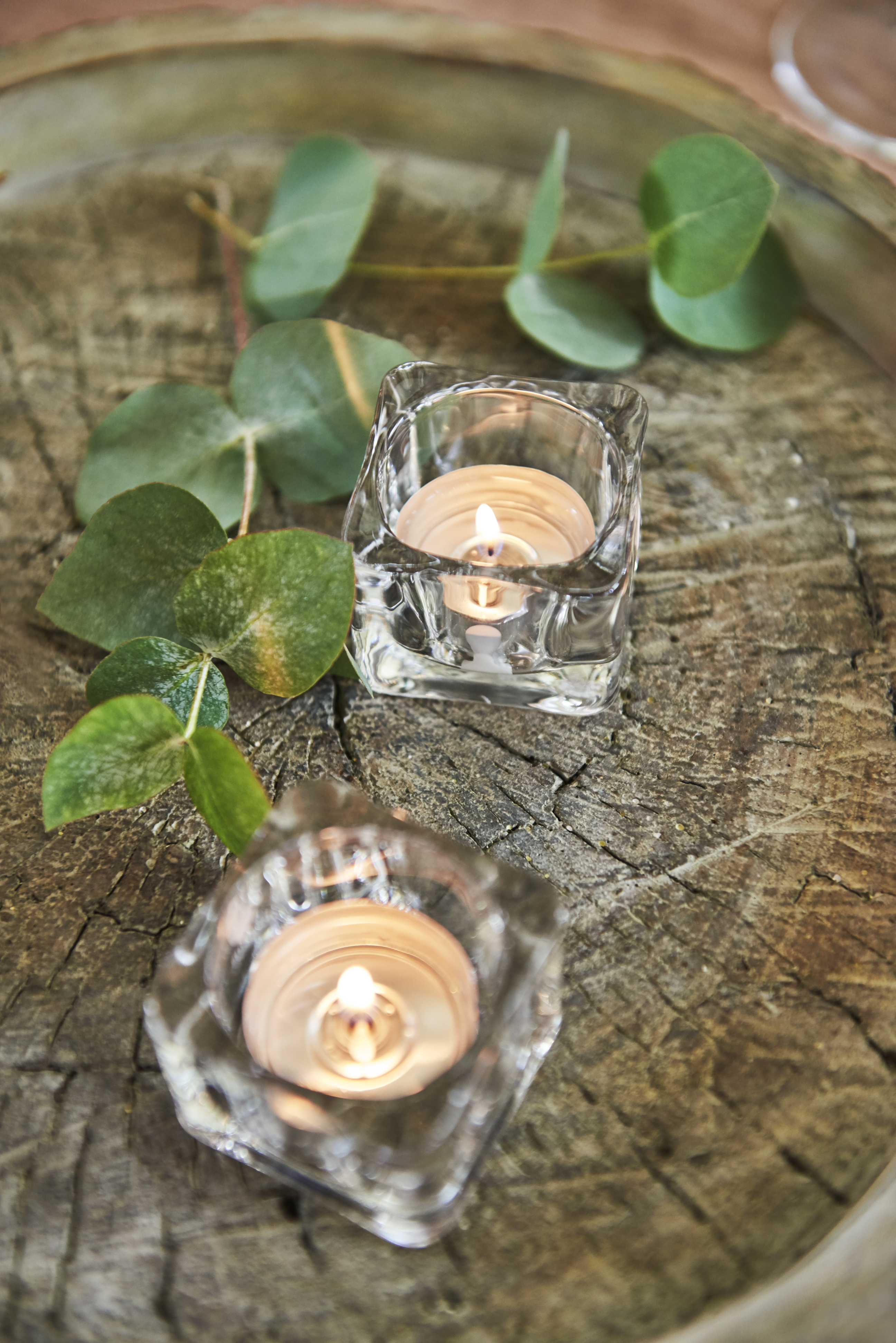 Tealight BOLSIUS  essenza mango  Ø 19.5 cm H 3 cm, 18 pezzi - 2