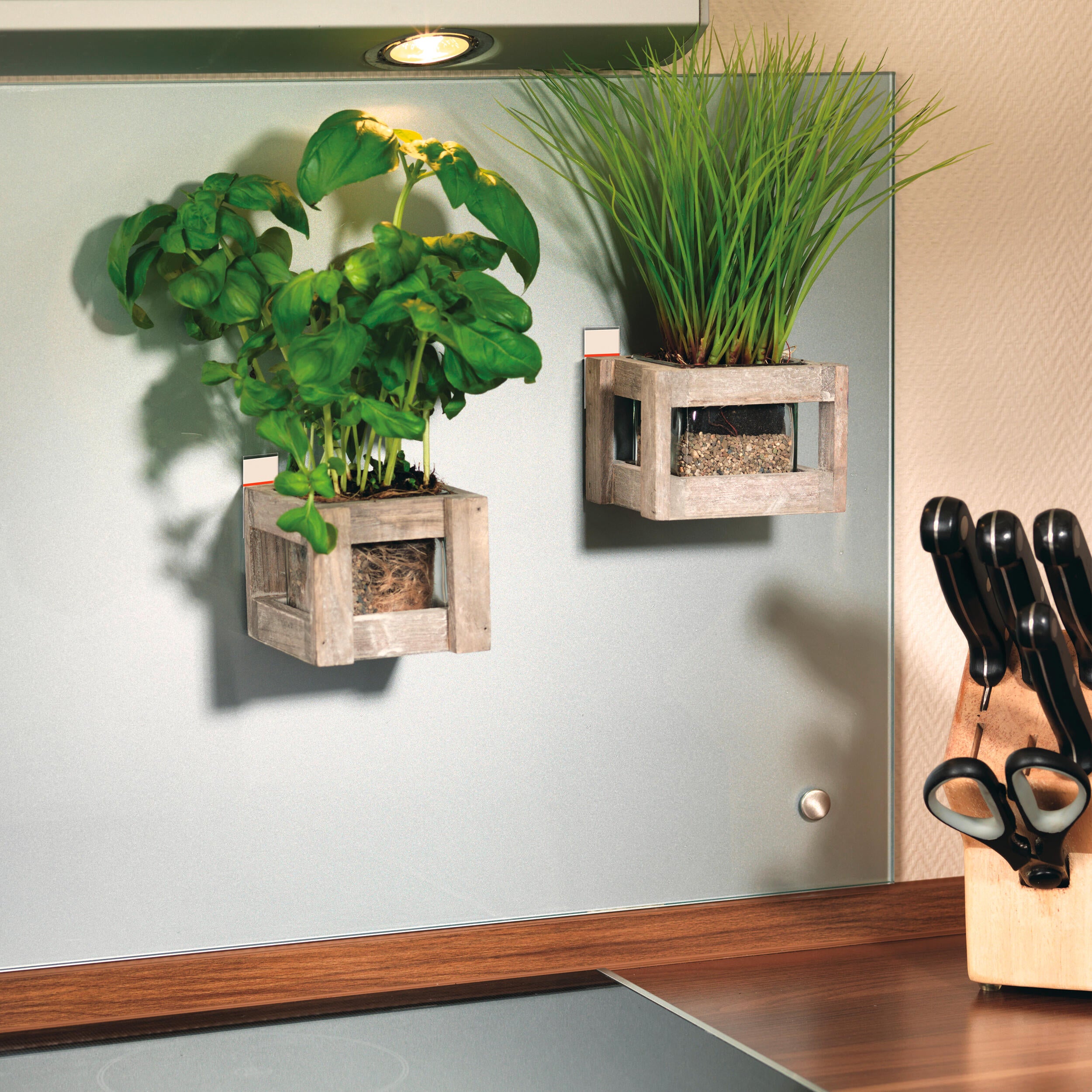 Plastry samoprzylepne dwustronne POWERSTRIPS LARGE 10 szt. max 2 kg TESA - 3