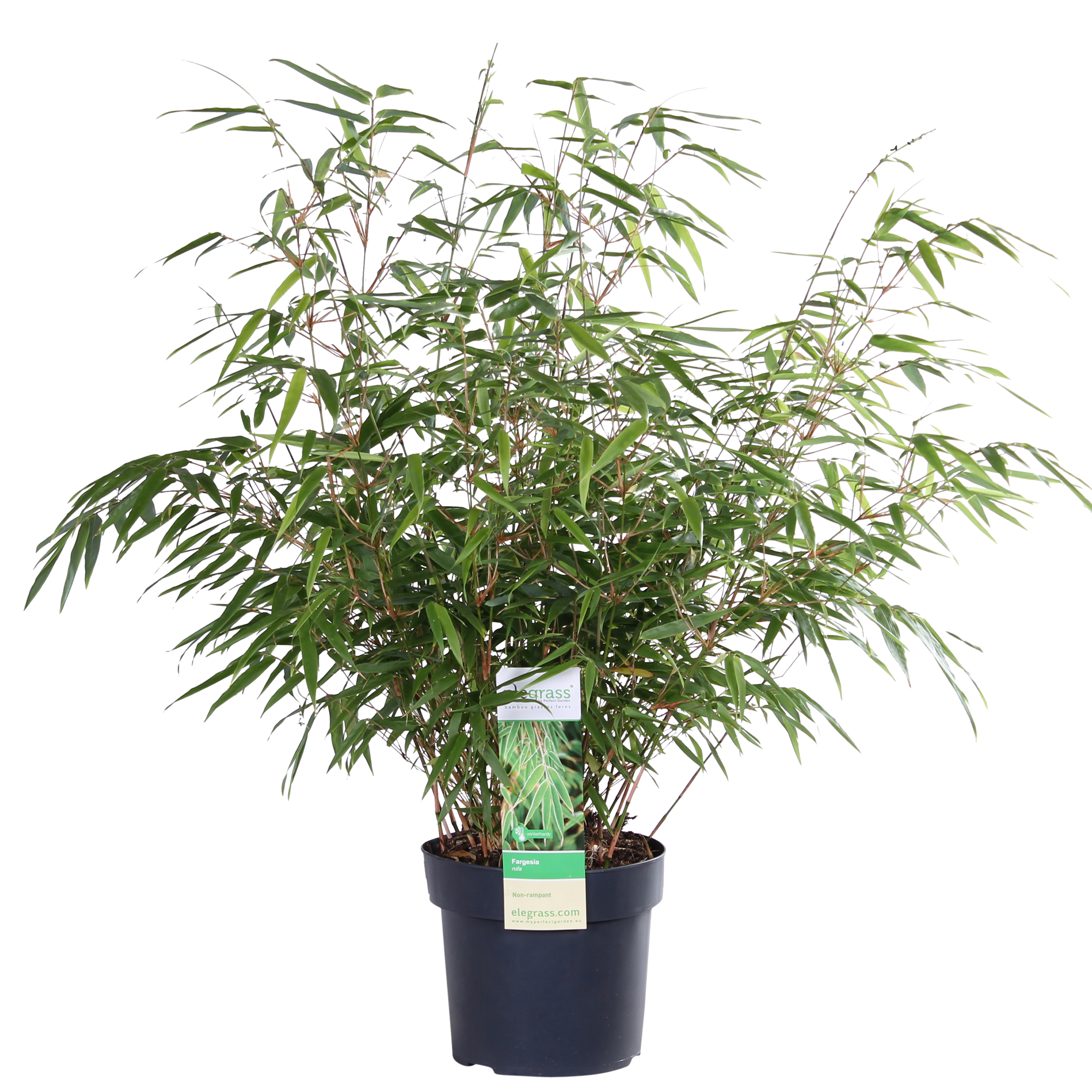 Gitohoni 2er Set Bambus Blumenreifen - Kreativringe Für Makramee, Traumfänger & DIY Deko