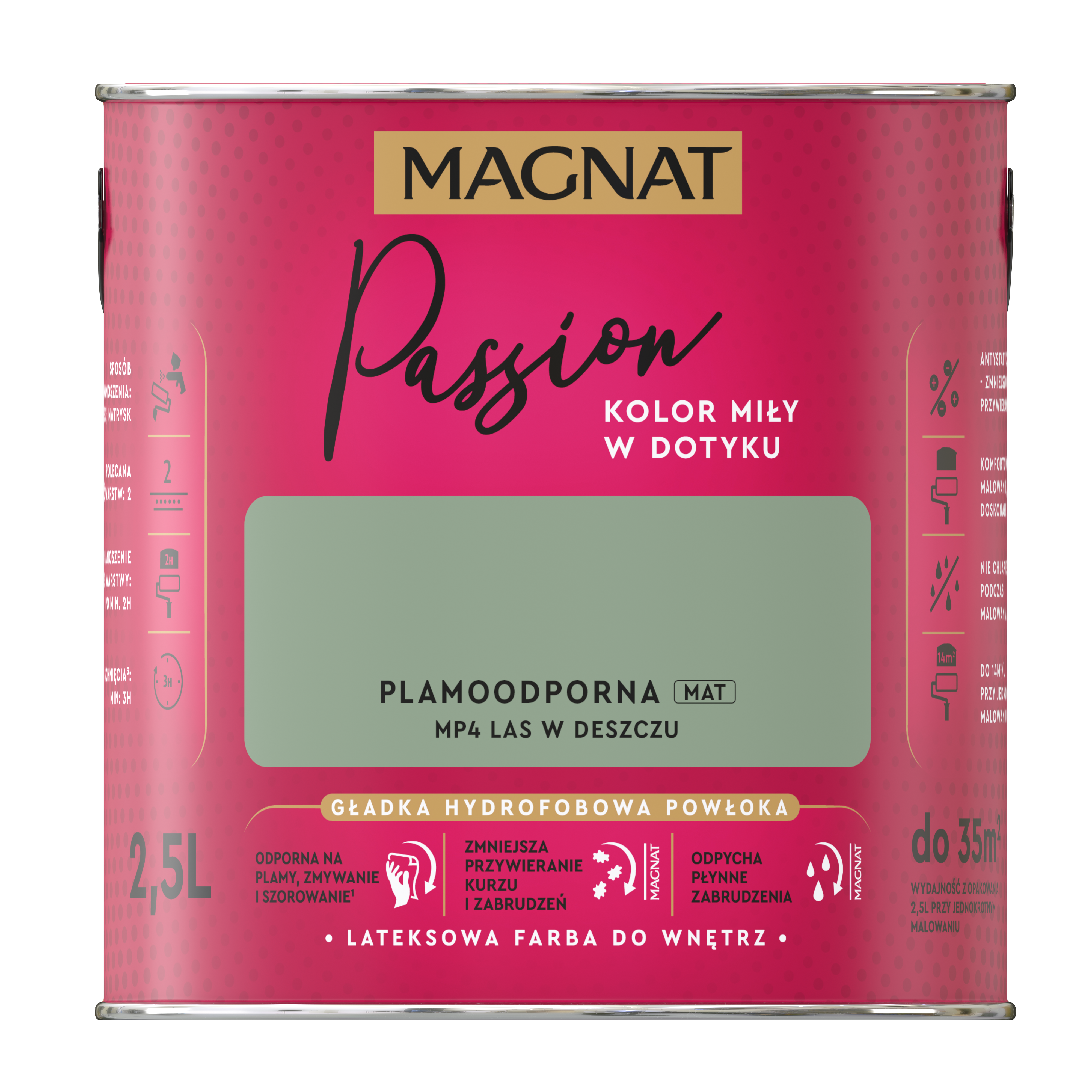 Farba Magnat Passion Las w deszczu 2.5 l - 5