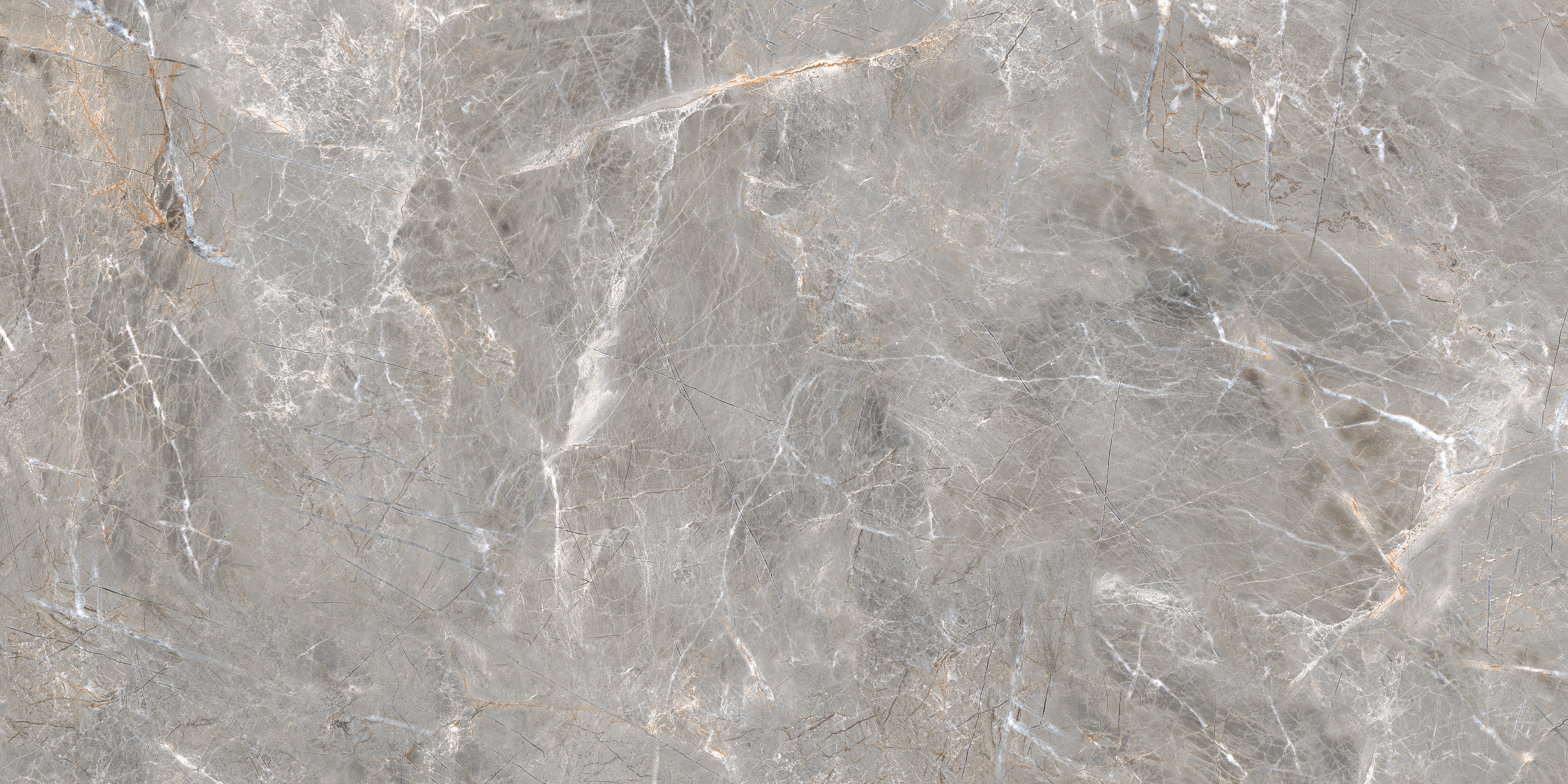 Gres szkliwiony Olimpia Grey Poler 60x120