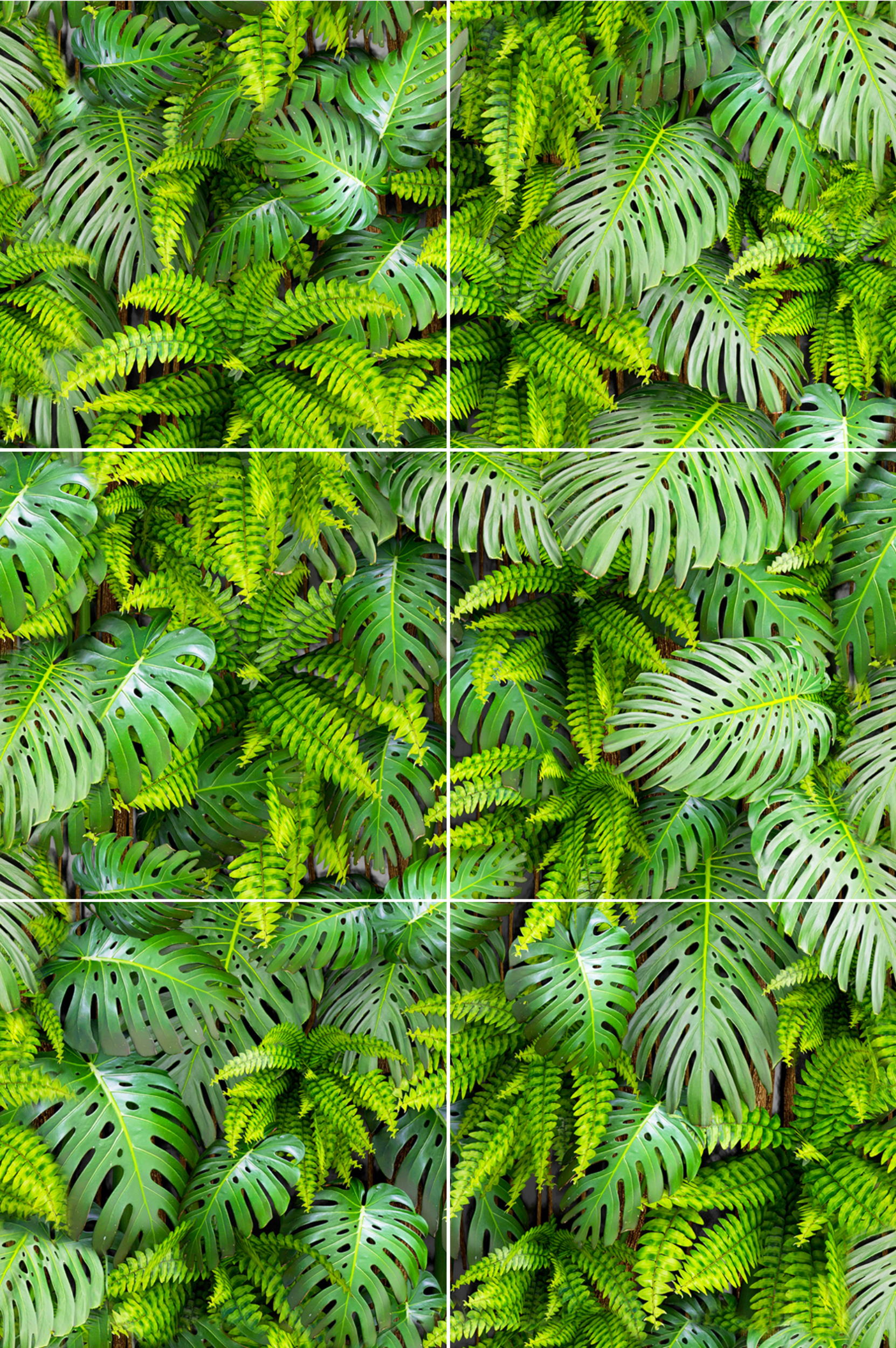 Obraz Green Wall 120x180 Alfa-Cer