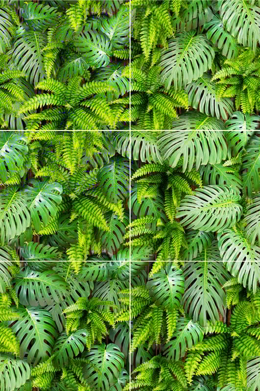 Obraz Green Wall 120x180 Alfa-Cer