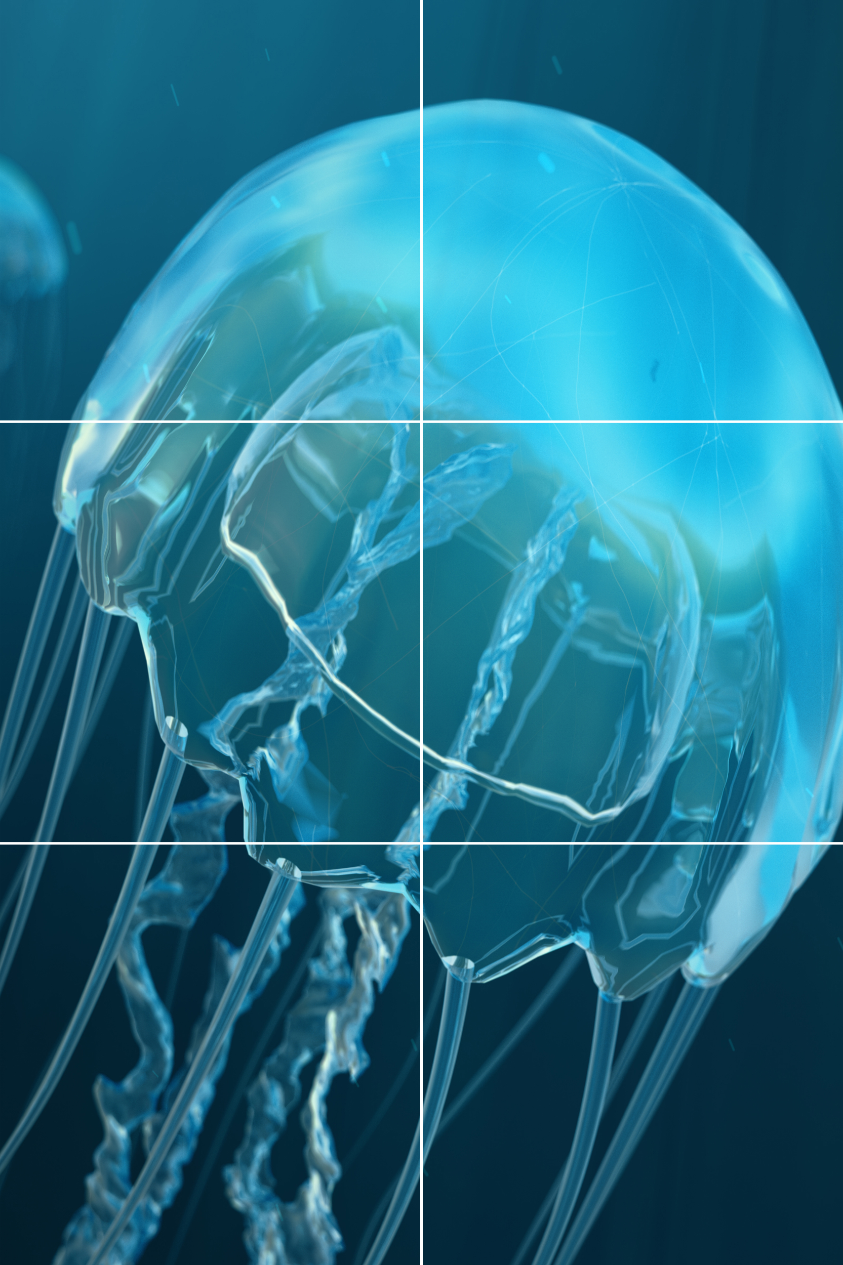 Obraz 6 elementowy Medusa-3 120x180 Alfa-Cer