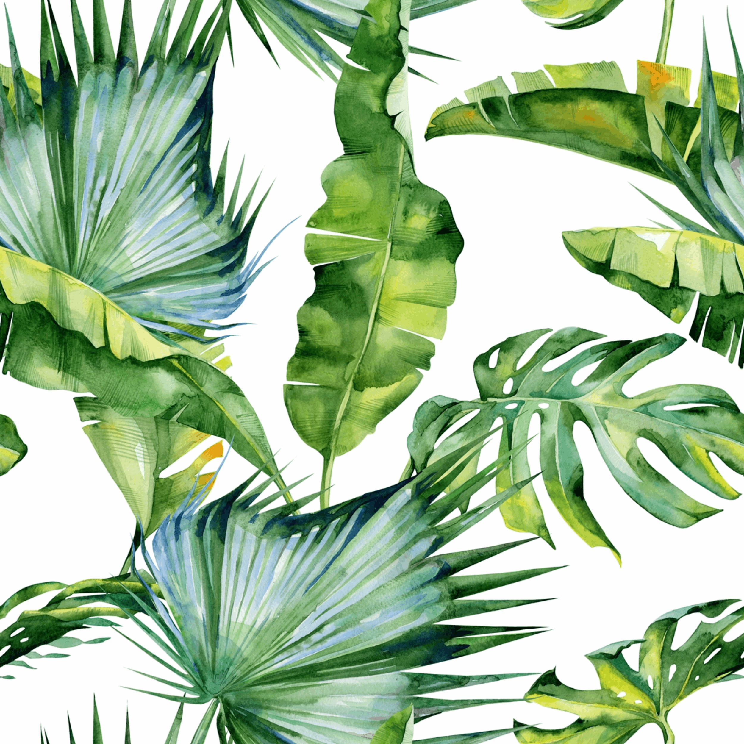 Panel kuchenny szklany Monstera white 60 x 60 cm Alfa-Cer