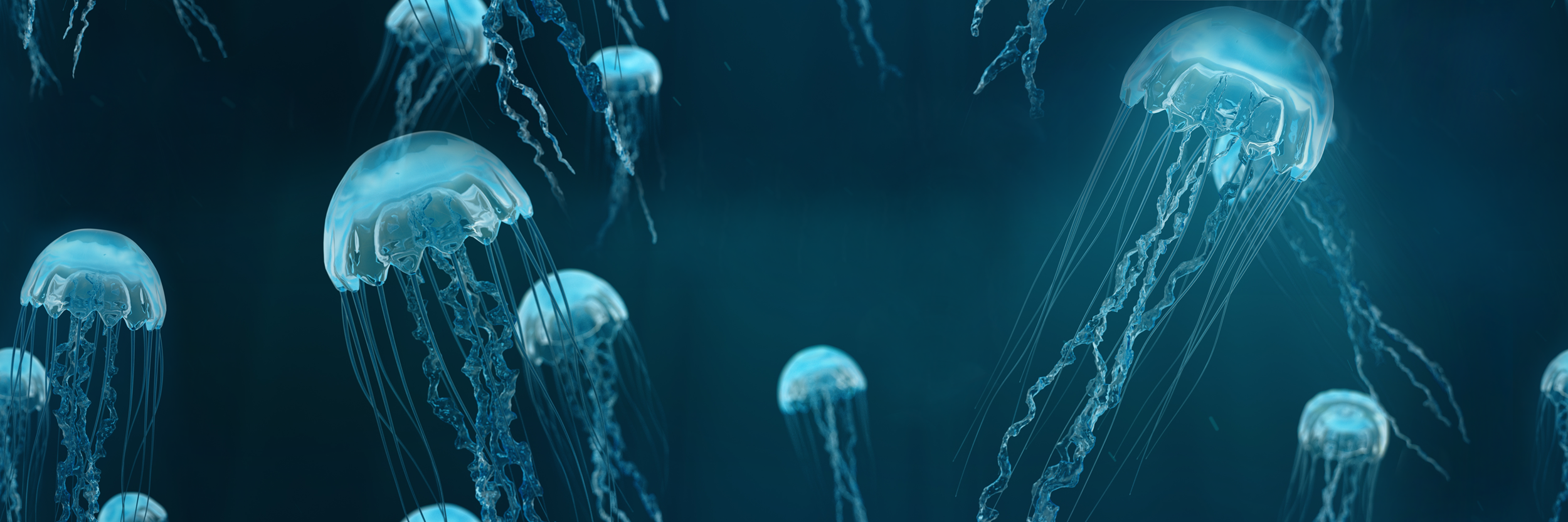 Obraz 3 elementowy Medusa 60x180 Alfa-Cer