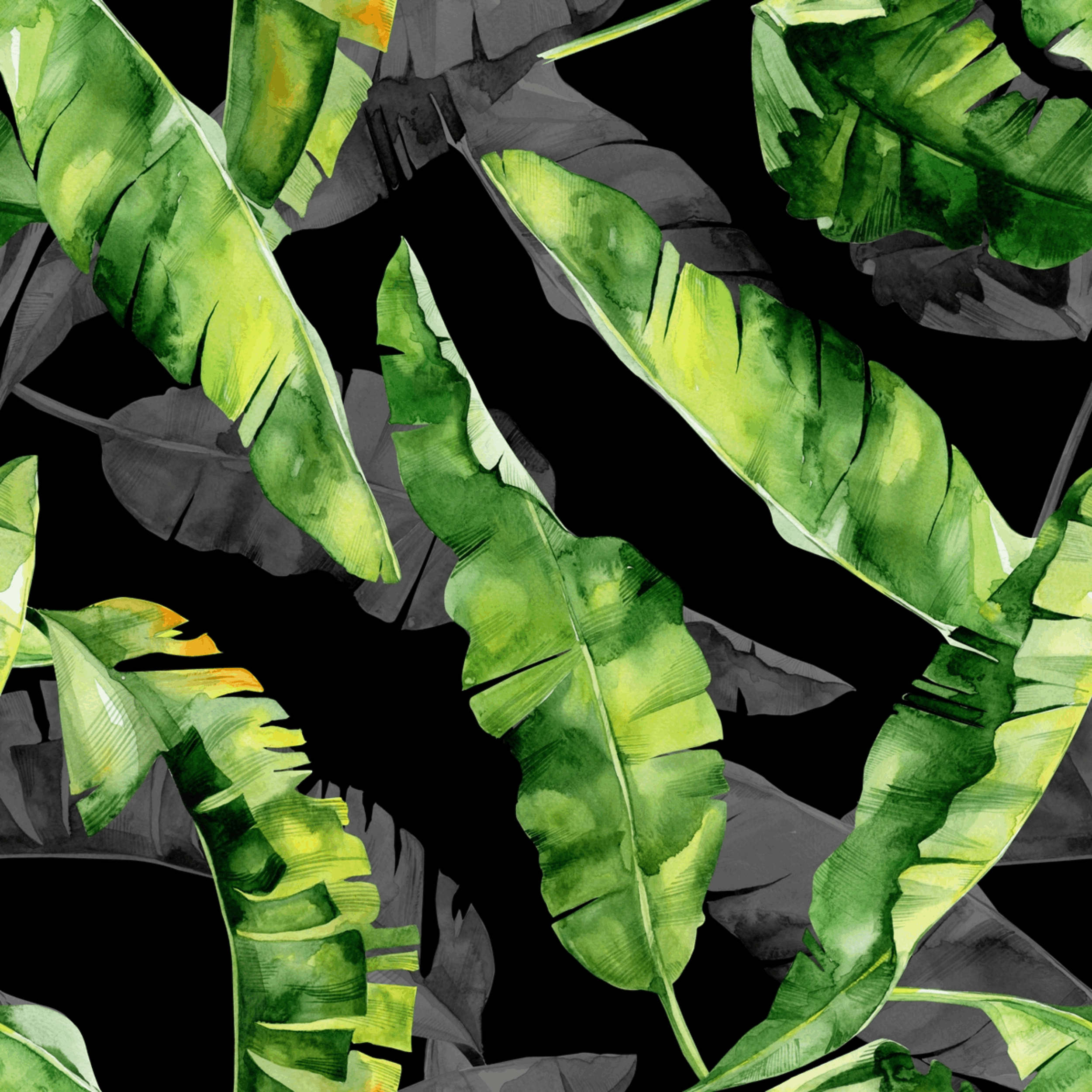 Panel kuchenny szklany Monstera black 60 x 60 cm Alfa-Cer