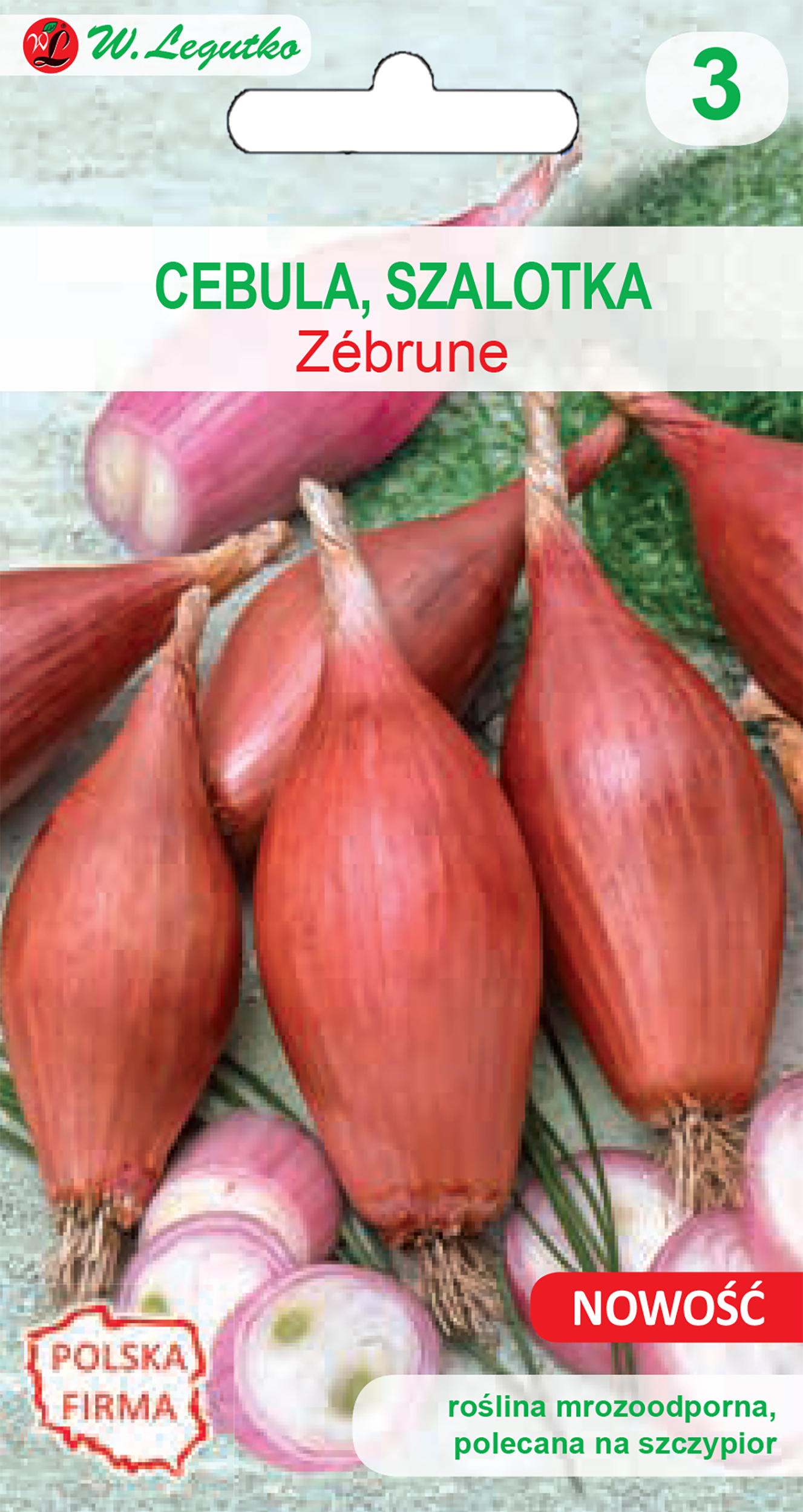 Cebula szalotka Zebrune nasiona W. Legutko