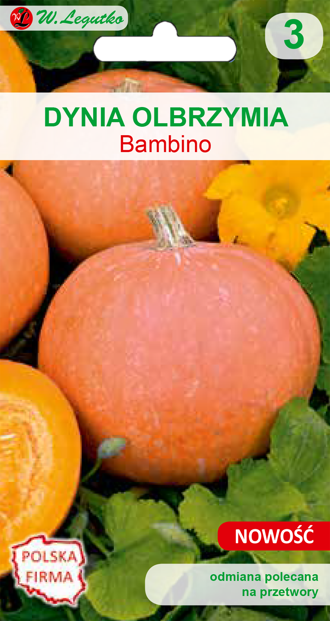 Dynia olbrzymia Bambino pomarańczowa nasiona W. Legutko