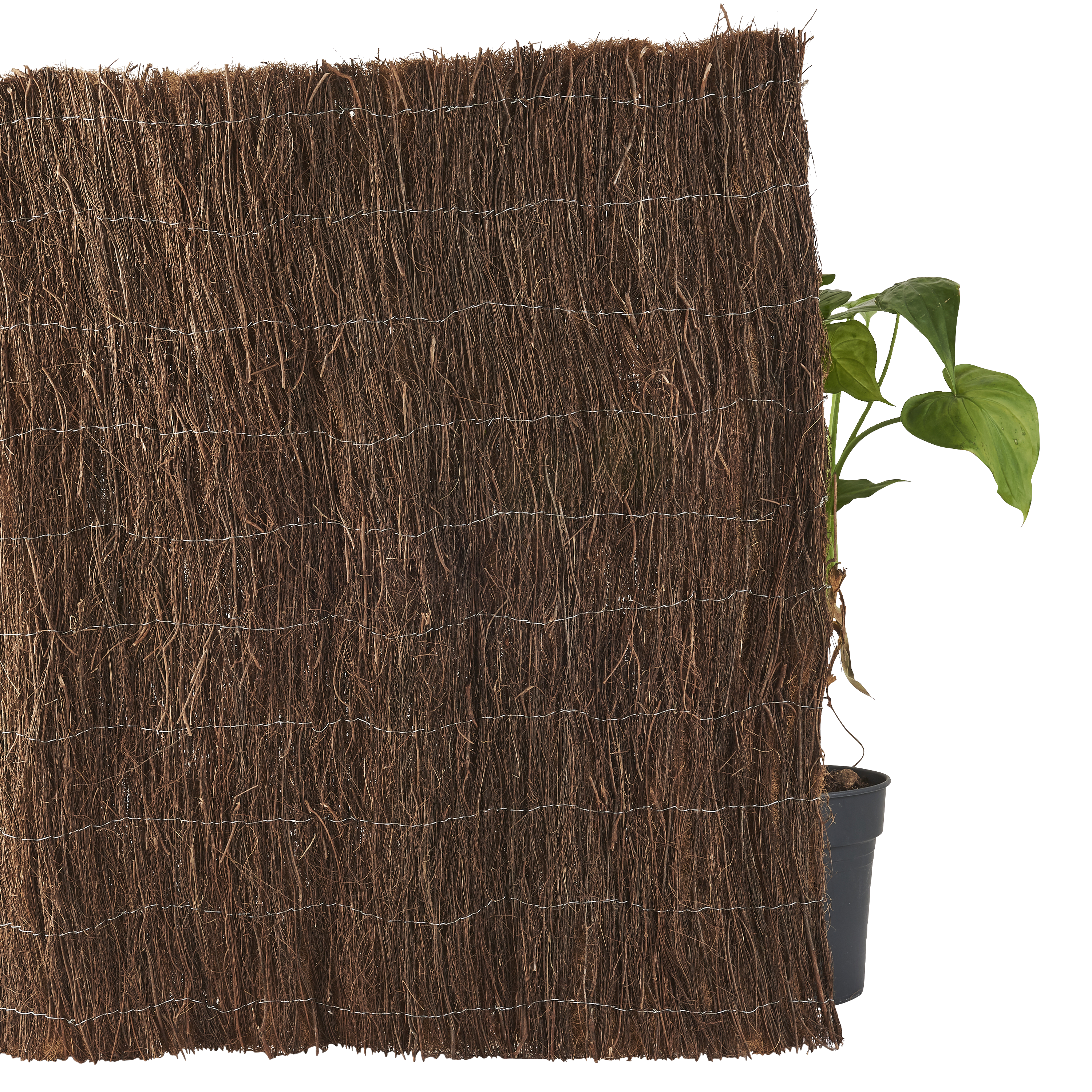 Brande de bruyère naturelle+brise-vue en coco, 2.5 kg/m2, H.1.5 x L.3 m,NATERIAL - 3