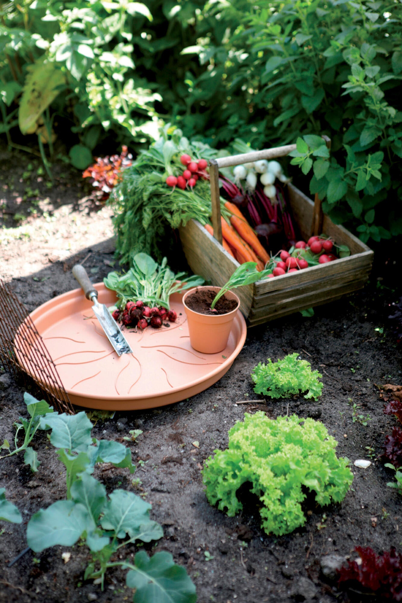 Sottovaso per vaso da fiori ELHO Green Basics in polipropilene terracotta ø 10.1 x H 1.6 cm - 2