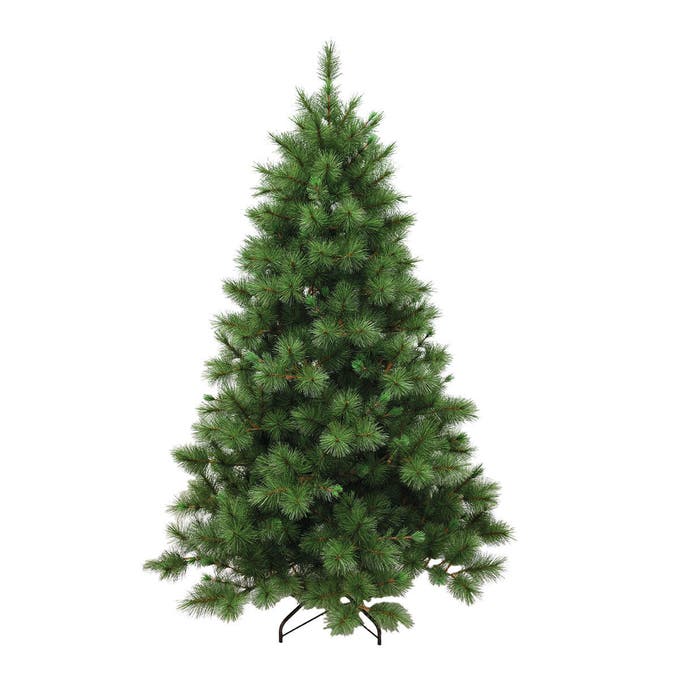 Alberi di Natale verdi