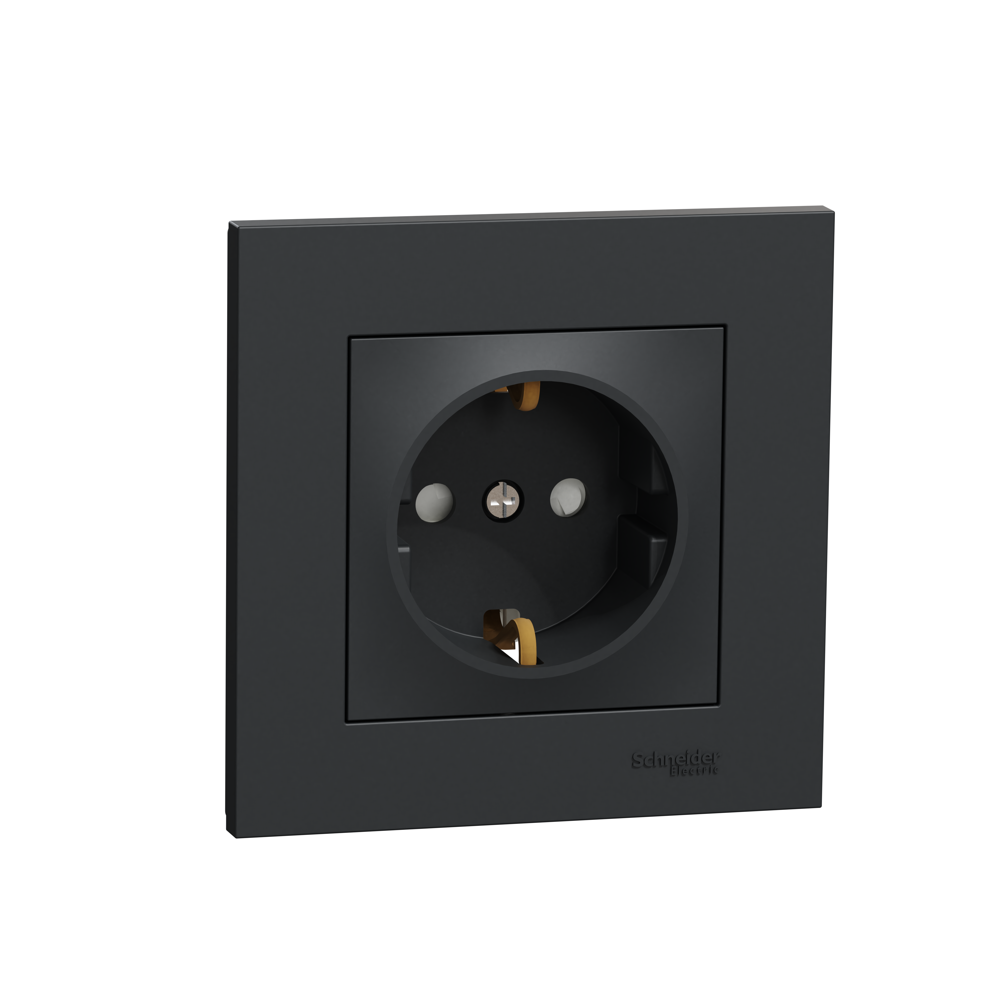 Tomada 2P+TTL 16 A preto Schneider Electric Miluz - 2