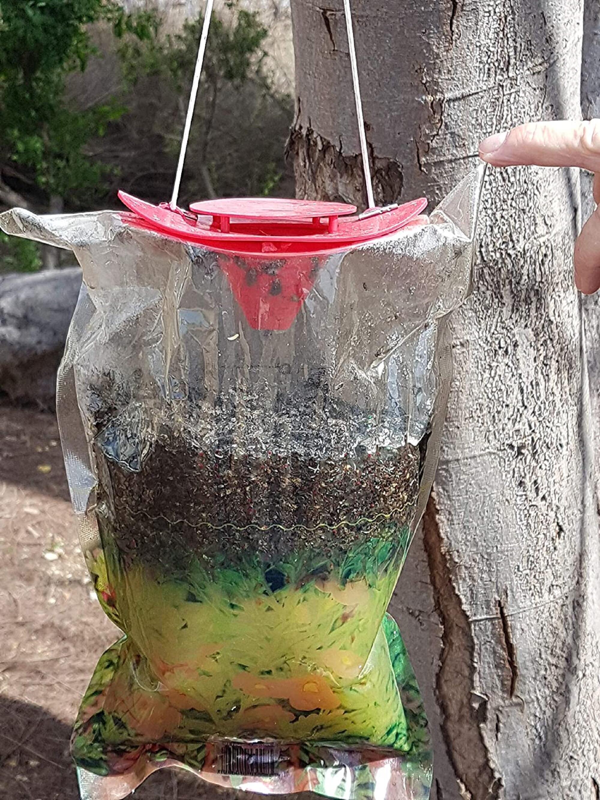 Trampa para moscas de exterior con atrayente ALTUNA - 2