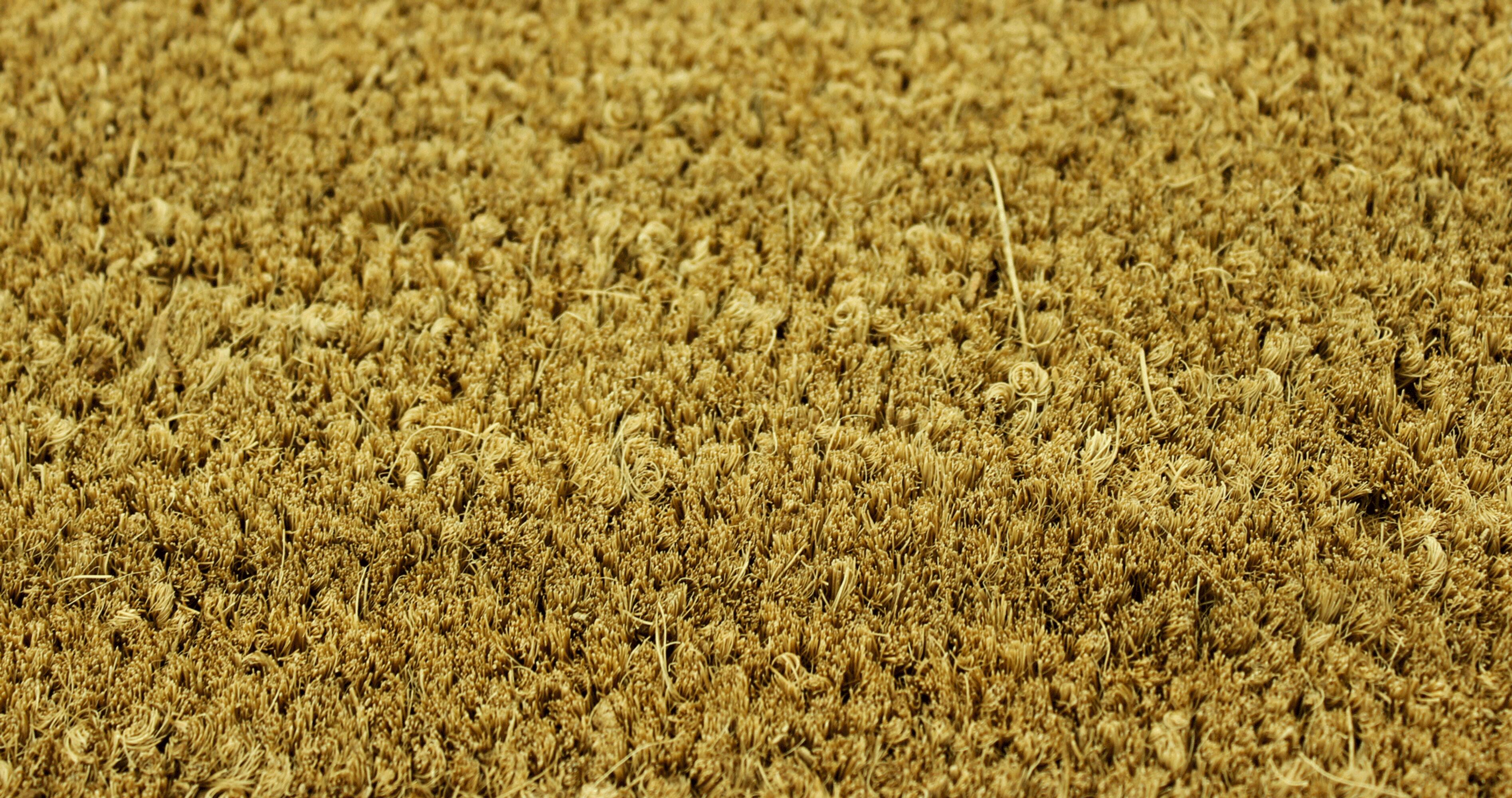 Felpudo de fibra de coco beige de 50 cm. Producto al corte. Pedido mínimo 1 m - 2