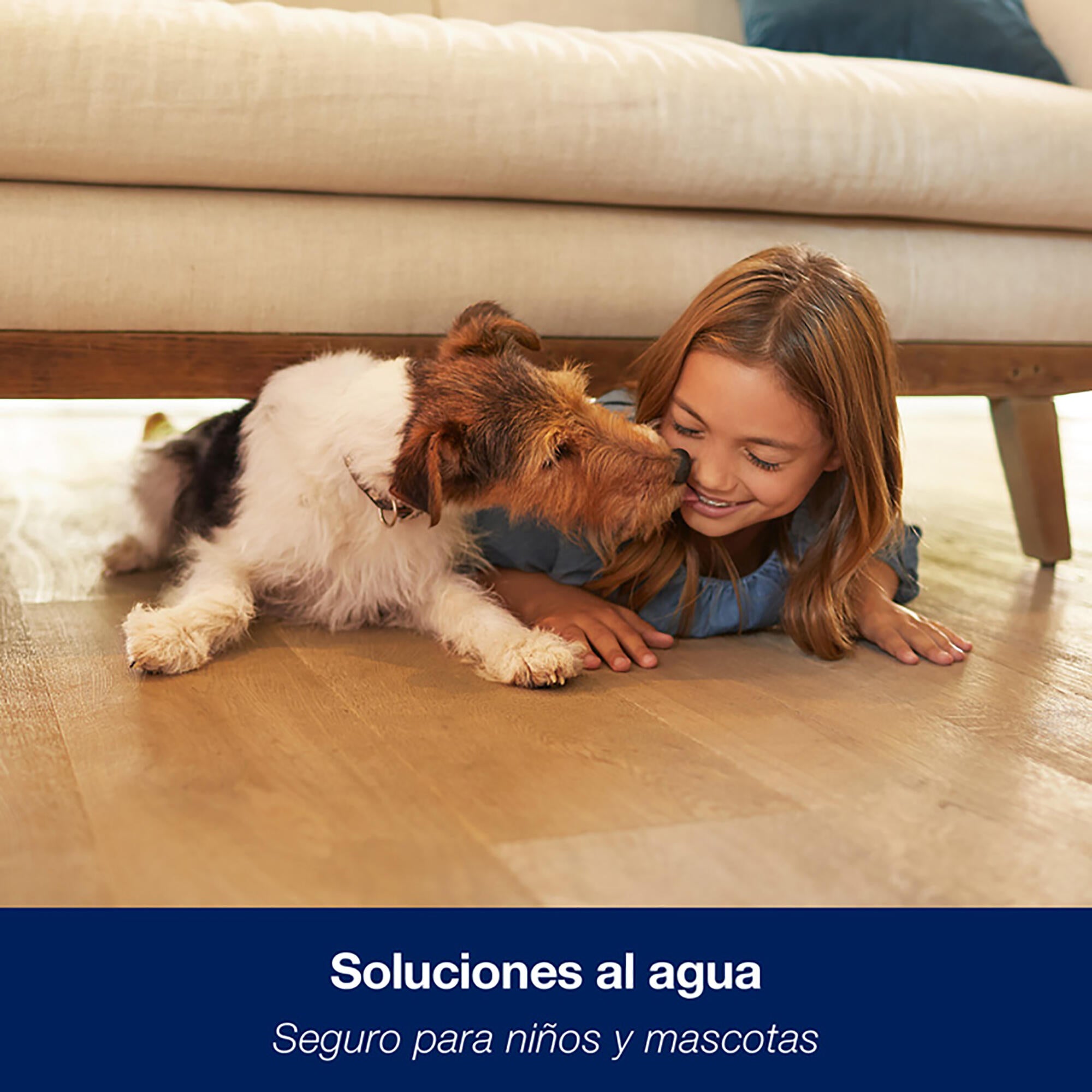 Produto de limpeza concentrado PAVIMENTO LAMINADO E PARQUET MADEIRA 1L - 2