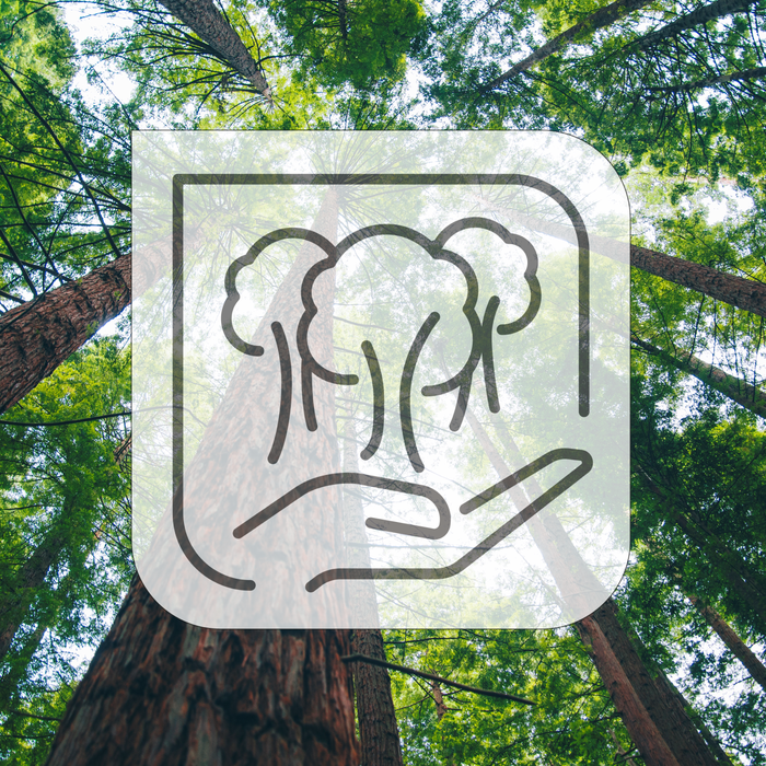 Meuble avec bois responsable