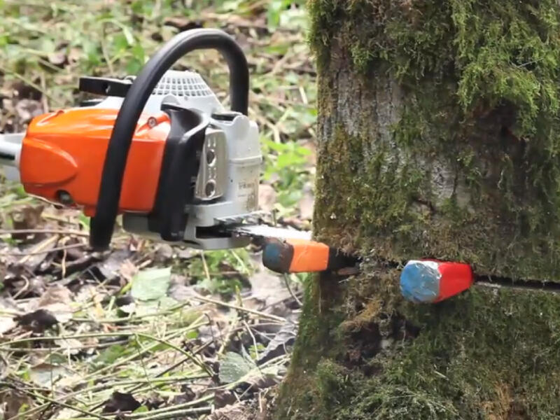 Comment tronçonner un arbre ? | Leroy Merlin