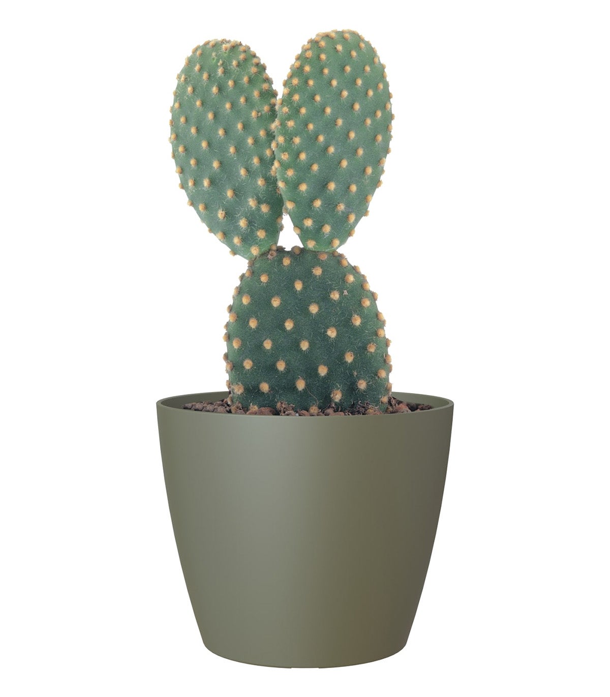 Maceta redonda de polipropileno ARTEVASI San Remo ø 16 cm y 14.5 cm altura verde - 3