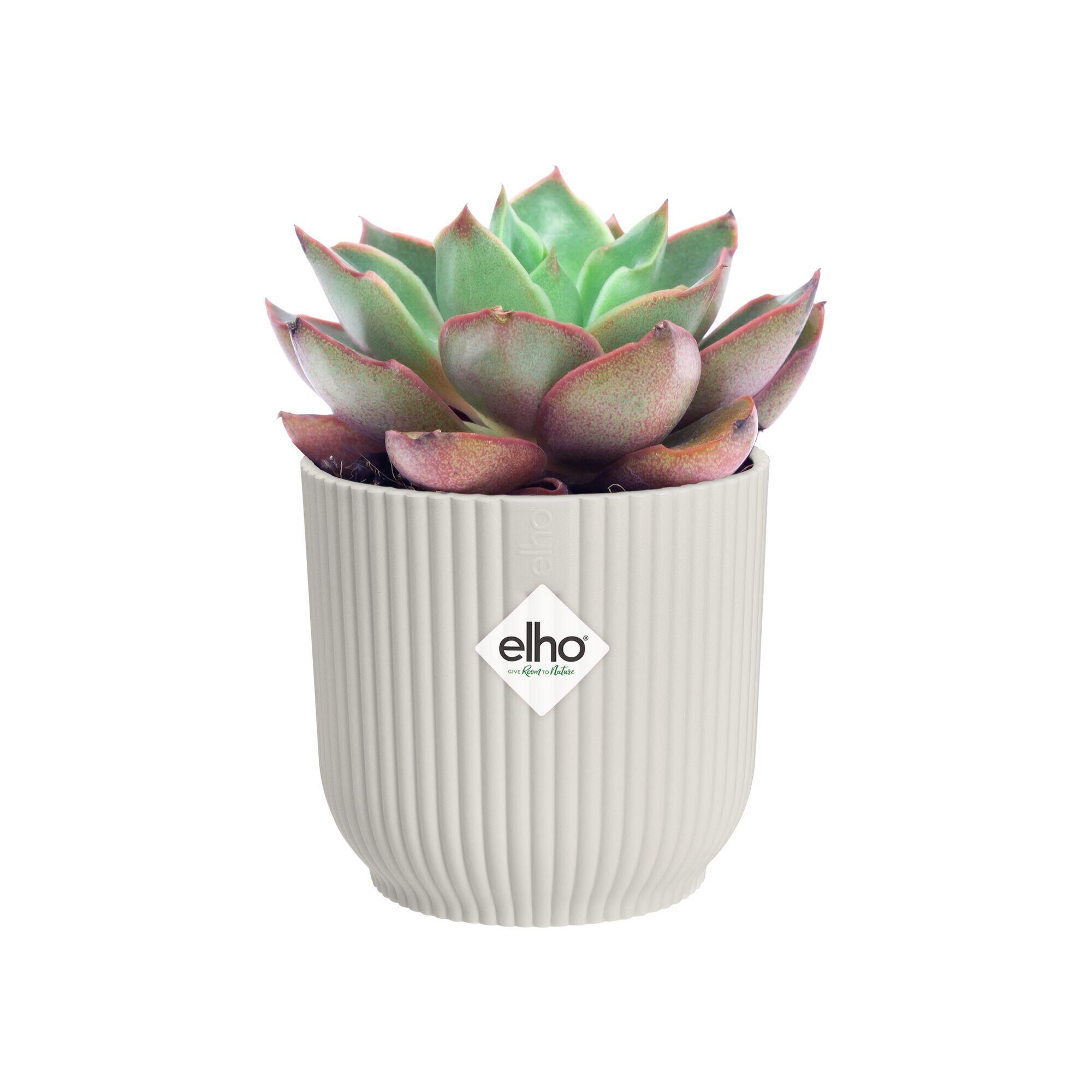Coprivaso Vibes Mini ELHO in polipropilene bianco H 8.8 x ø 9 cm - 4