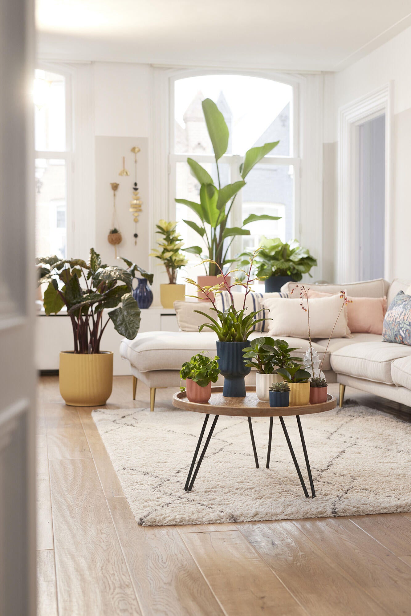 Vaso per piante e fiori VIBES ELHO in polipropilene giallo H 6.5 cm Ø 7 cm - 2