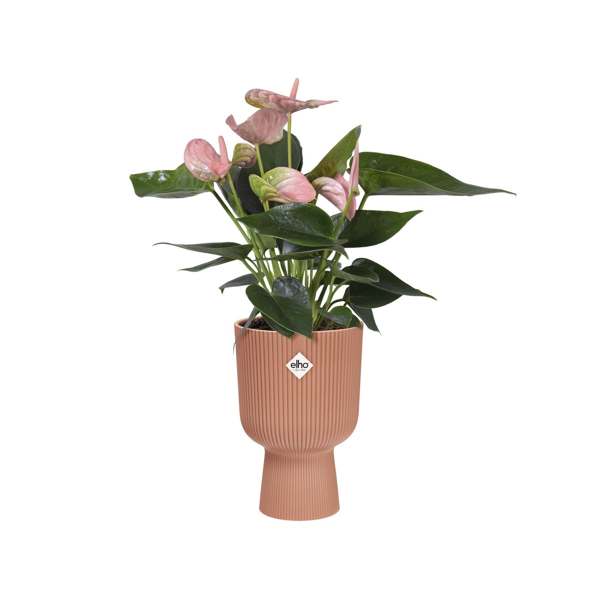 Vaso per piante e fiori VIBES ELHO in polipropilene rosa H 21 cm Ø 14 cm - 5