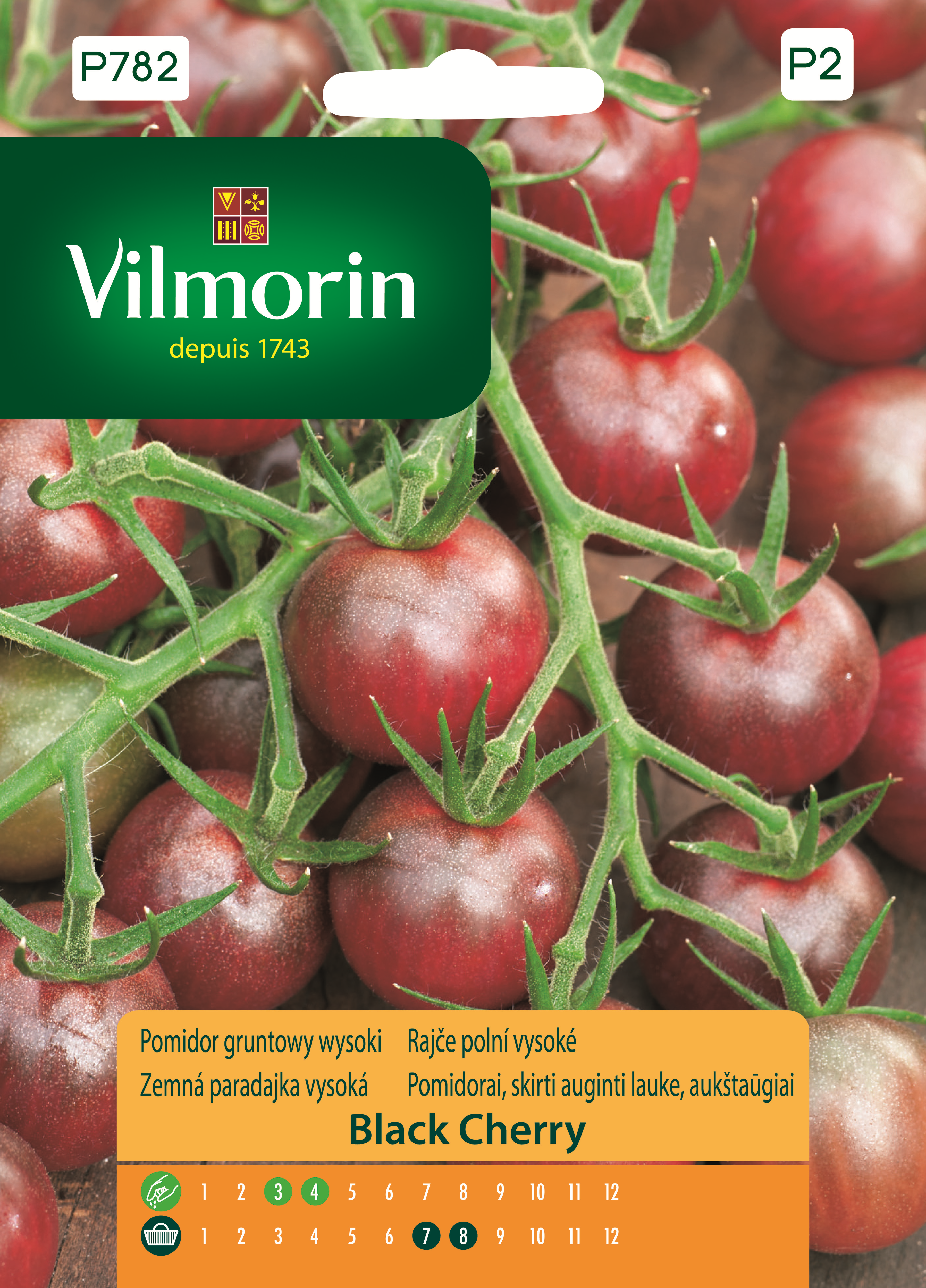 Pomidor Black Cherry nasiona Vilmorin