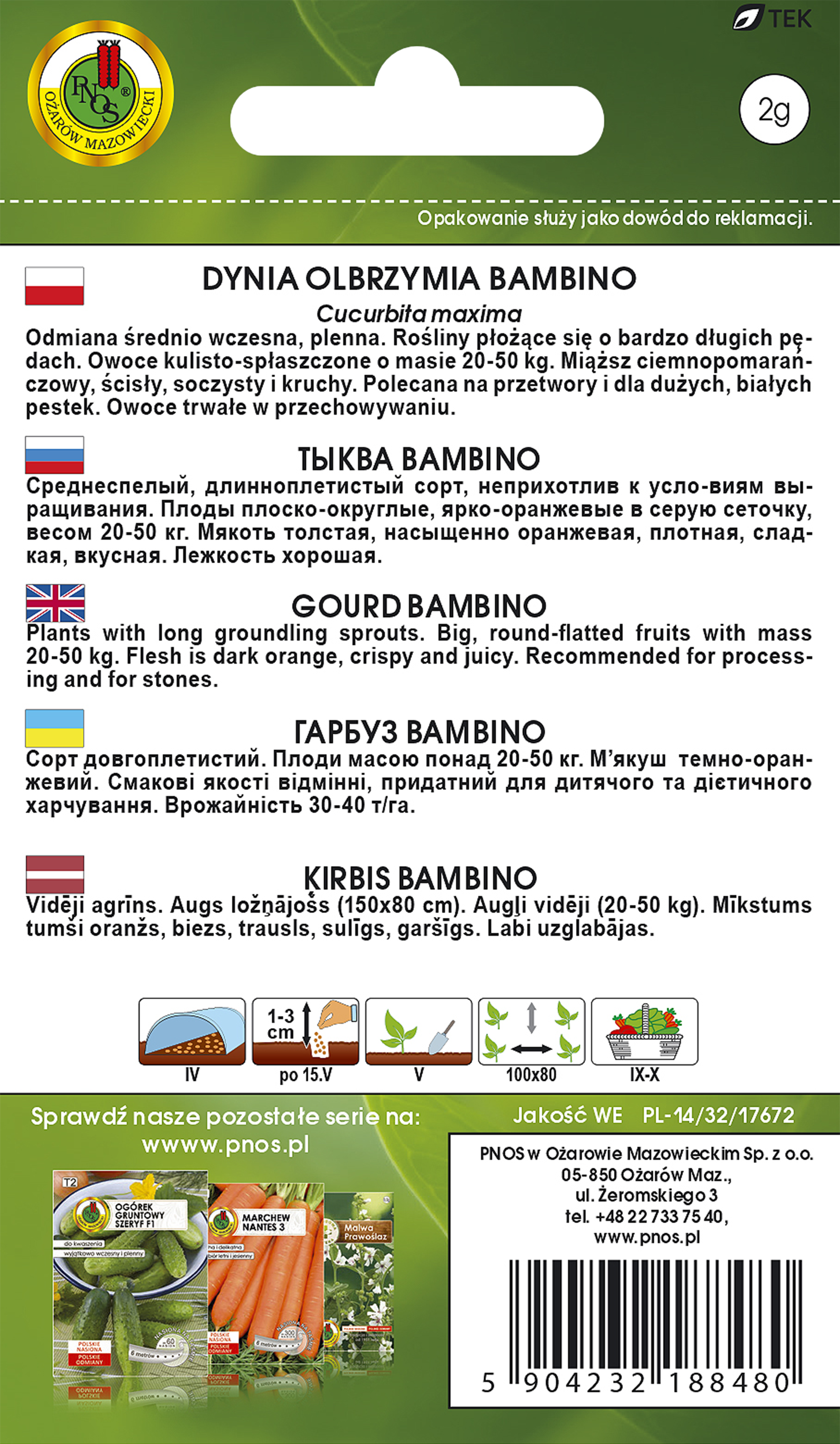 Dynia olbrzymia Bambino nasiona Pnos - 2
