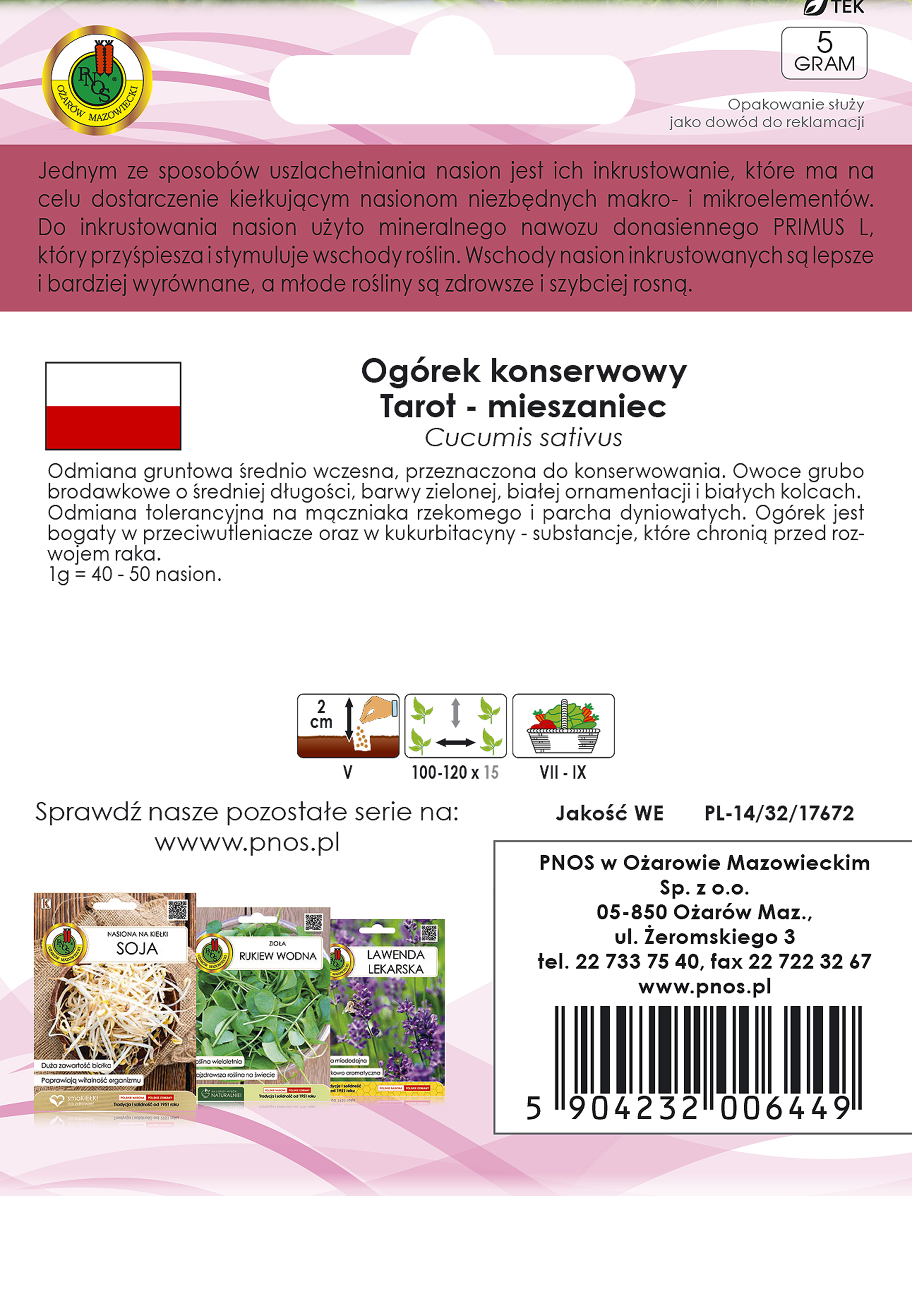 Ogórek gruntowy Tarot F1 nasiona inkrustowane Pnos - 2