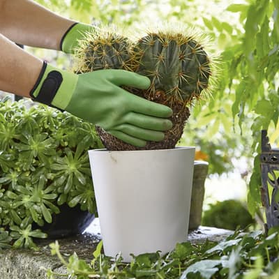 El placer de la jardinería, con Geolia | Leroy Merlin