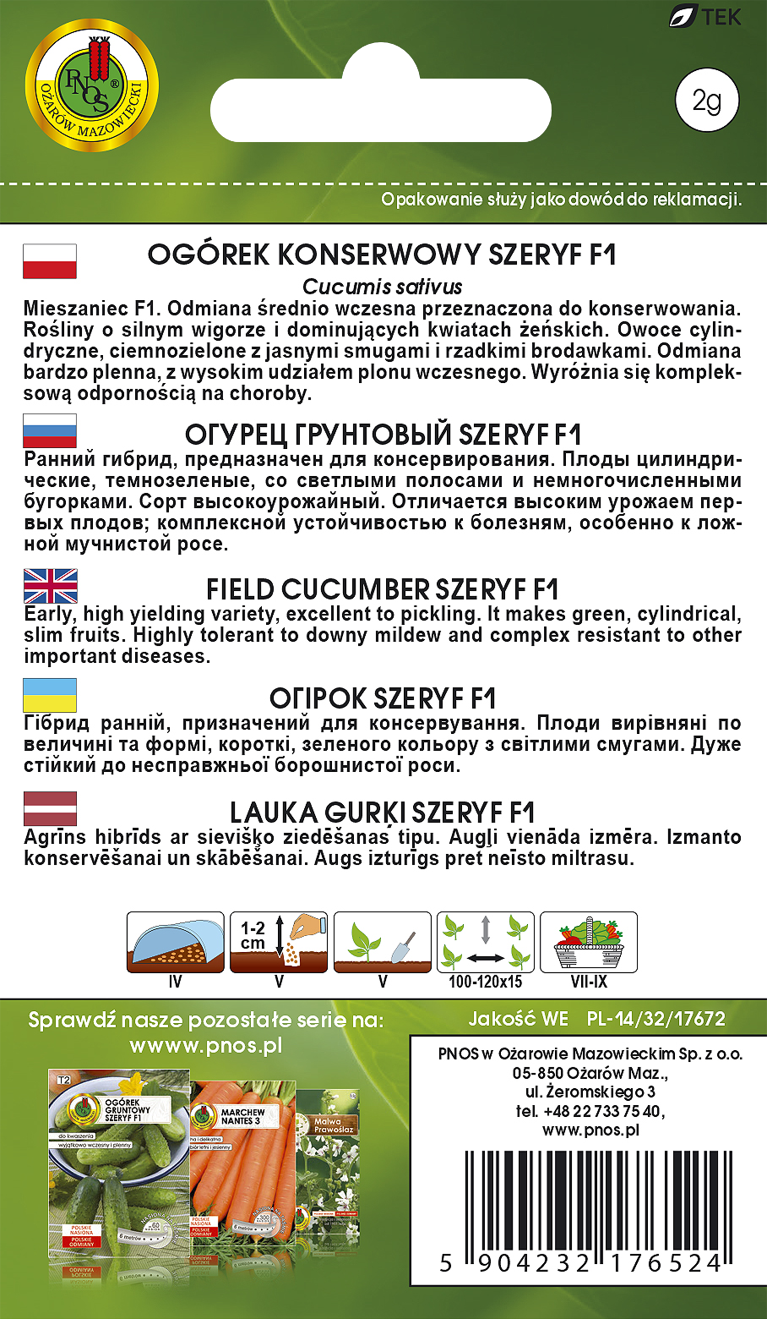 Ogórek gruntowy Szeryf F1 nasiona Pnos - 2