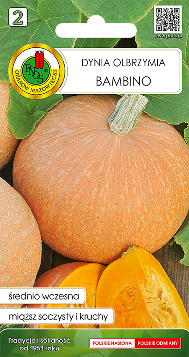 Dynia olbrzymia Bambino nasiona Pnos