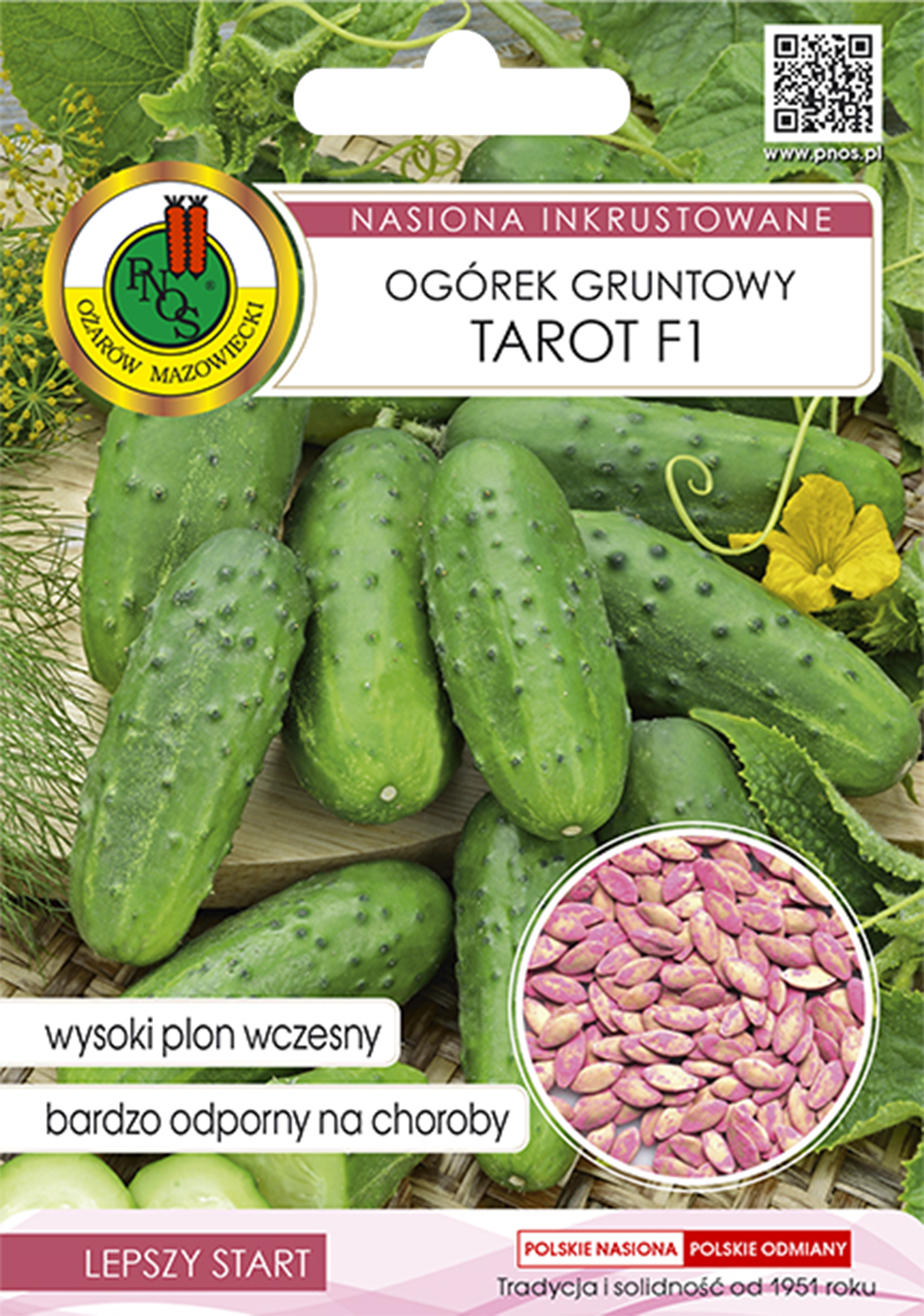Ogórek gruntowy Tarot F1 nasiona inkrustowane Pnos
