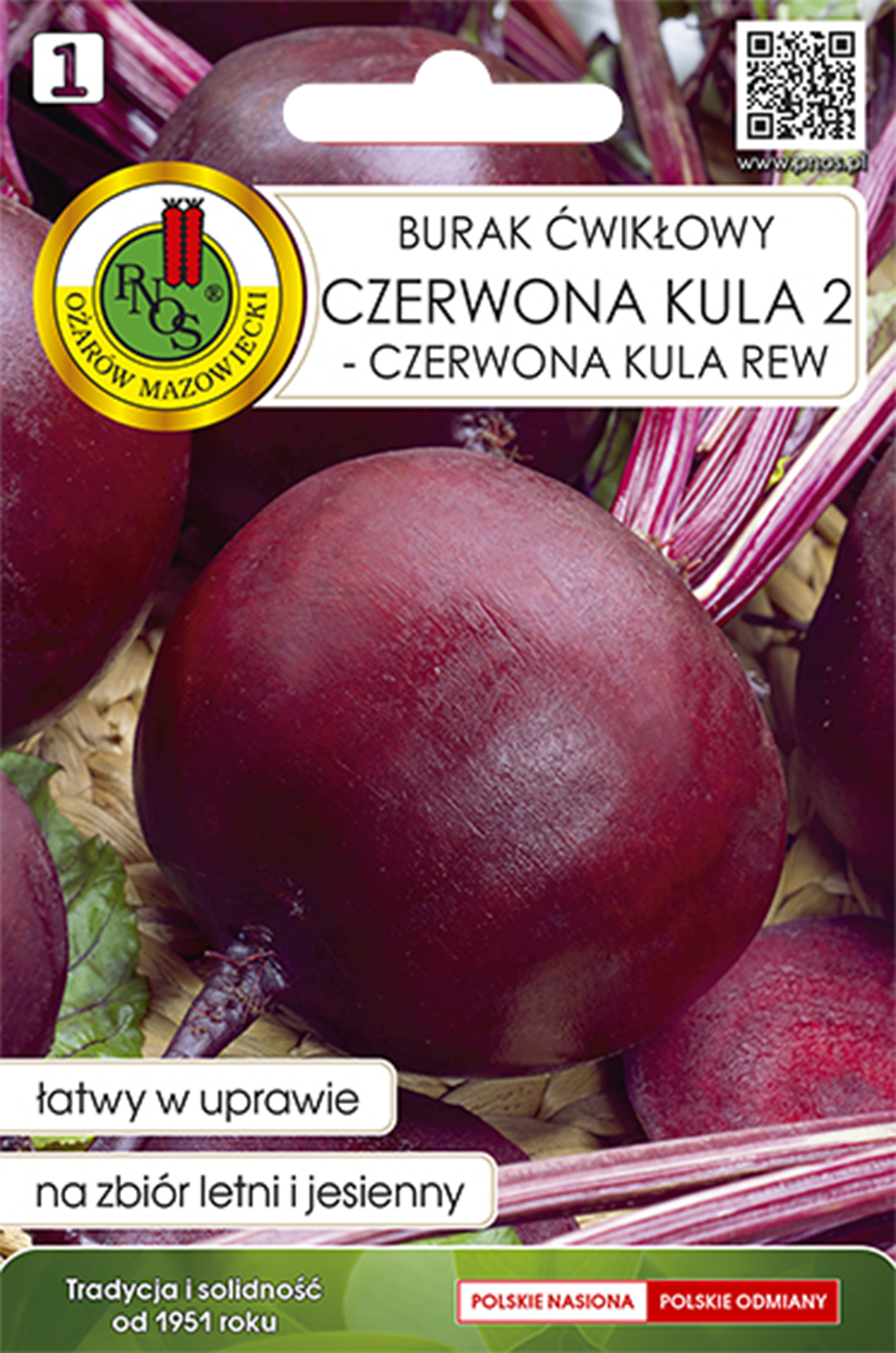 Burak ćwikłowy Czerwona kula 2 nasiona Pnos