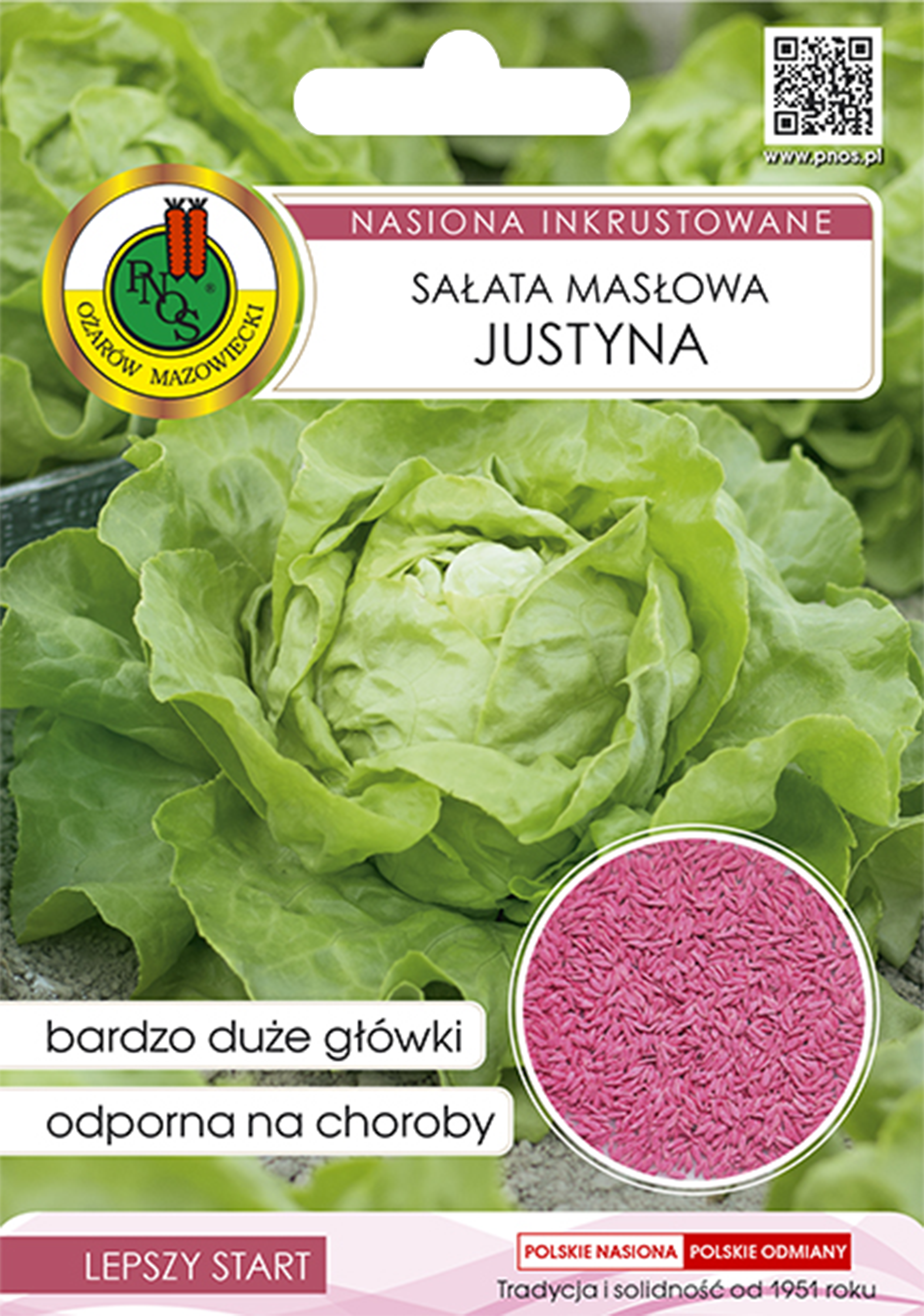 Sałata masłowa głowiasta Justyna nasiona inkrustowane Pnos