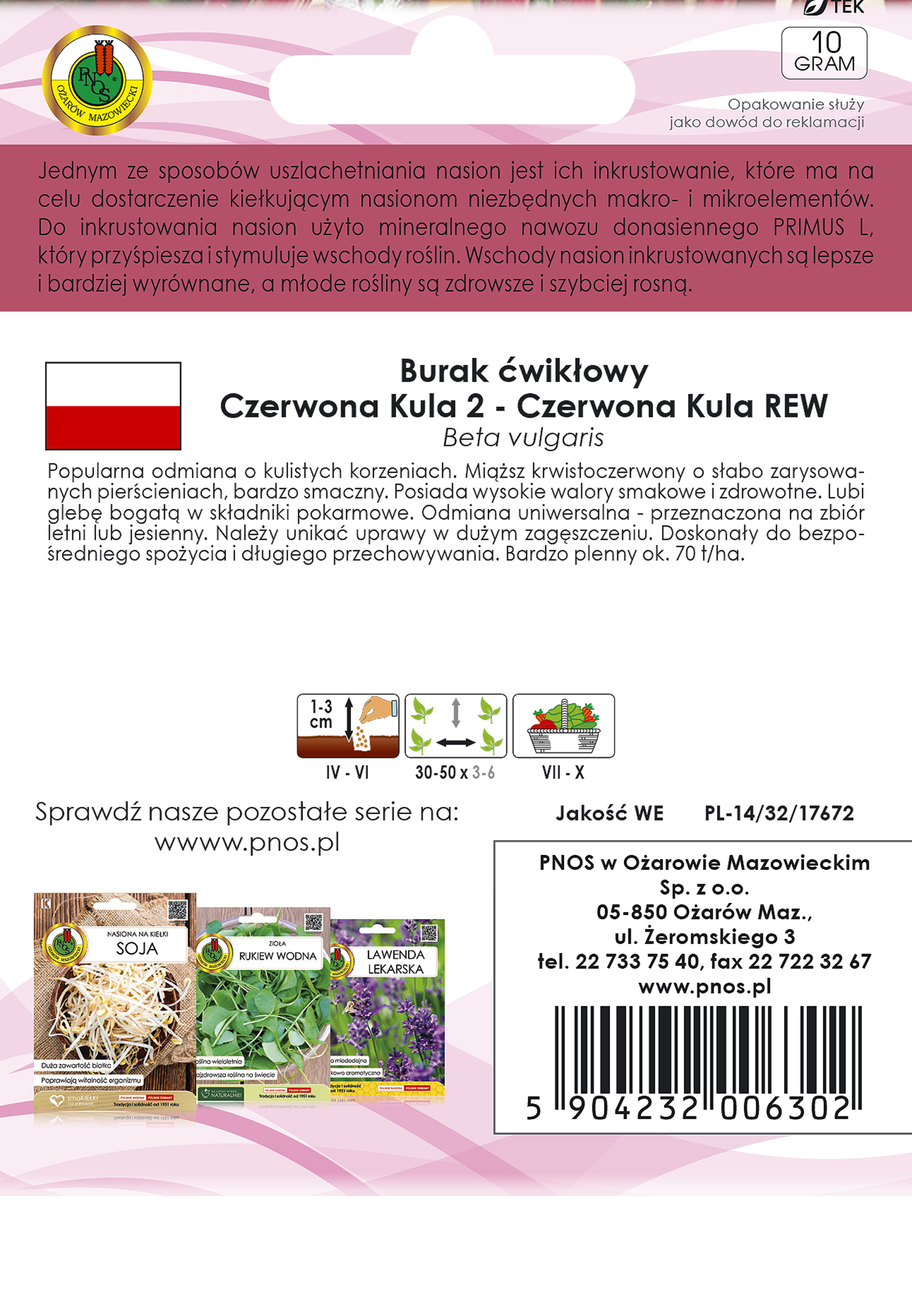Burak ćwikłowy Czerwona kula 2 nasiona inkrustowane Pnos - 2