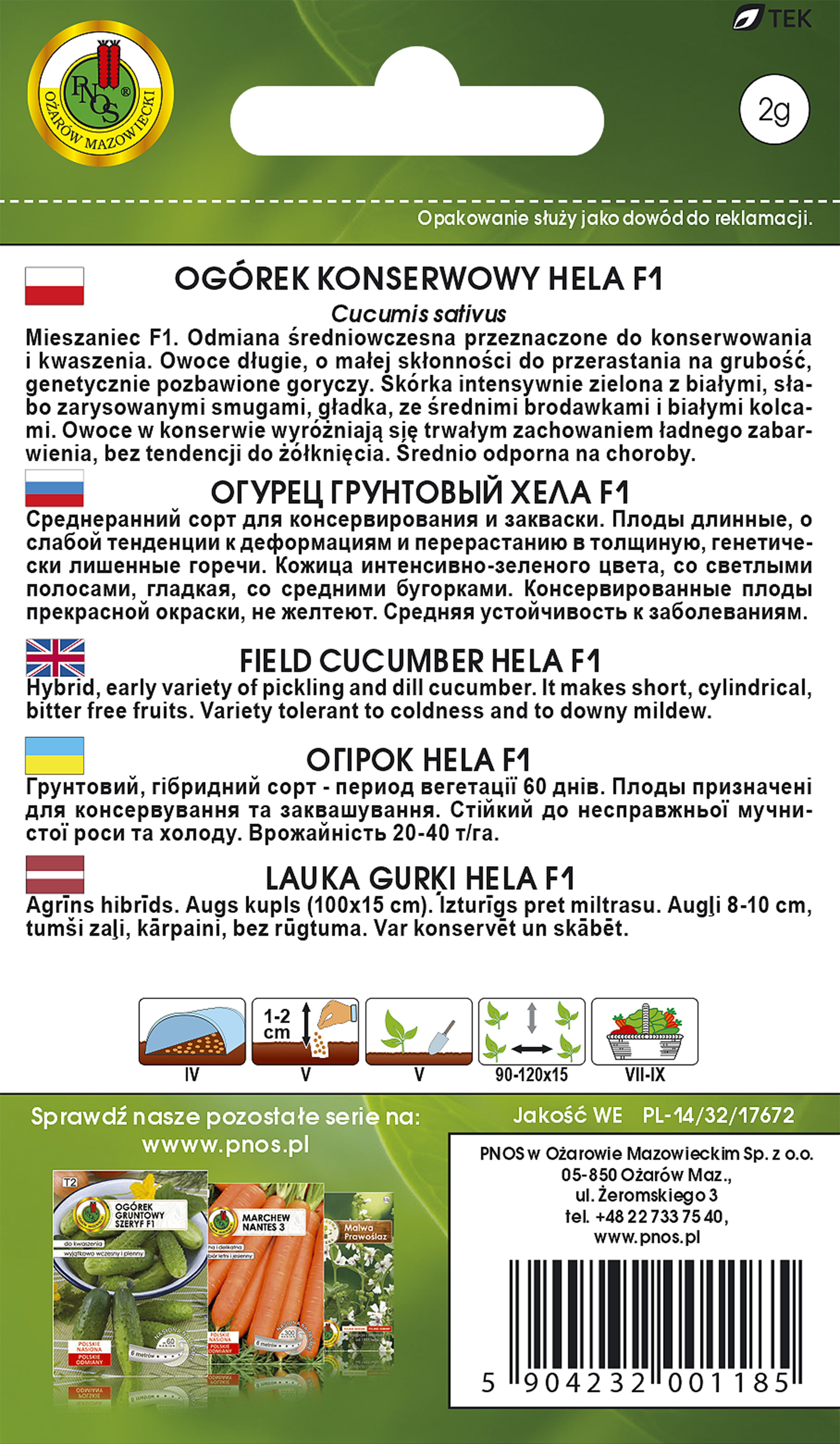 Ogórek gruntowy Hela F1 nasiona Pnos - 2
