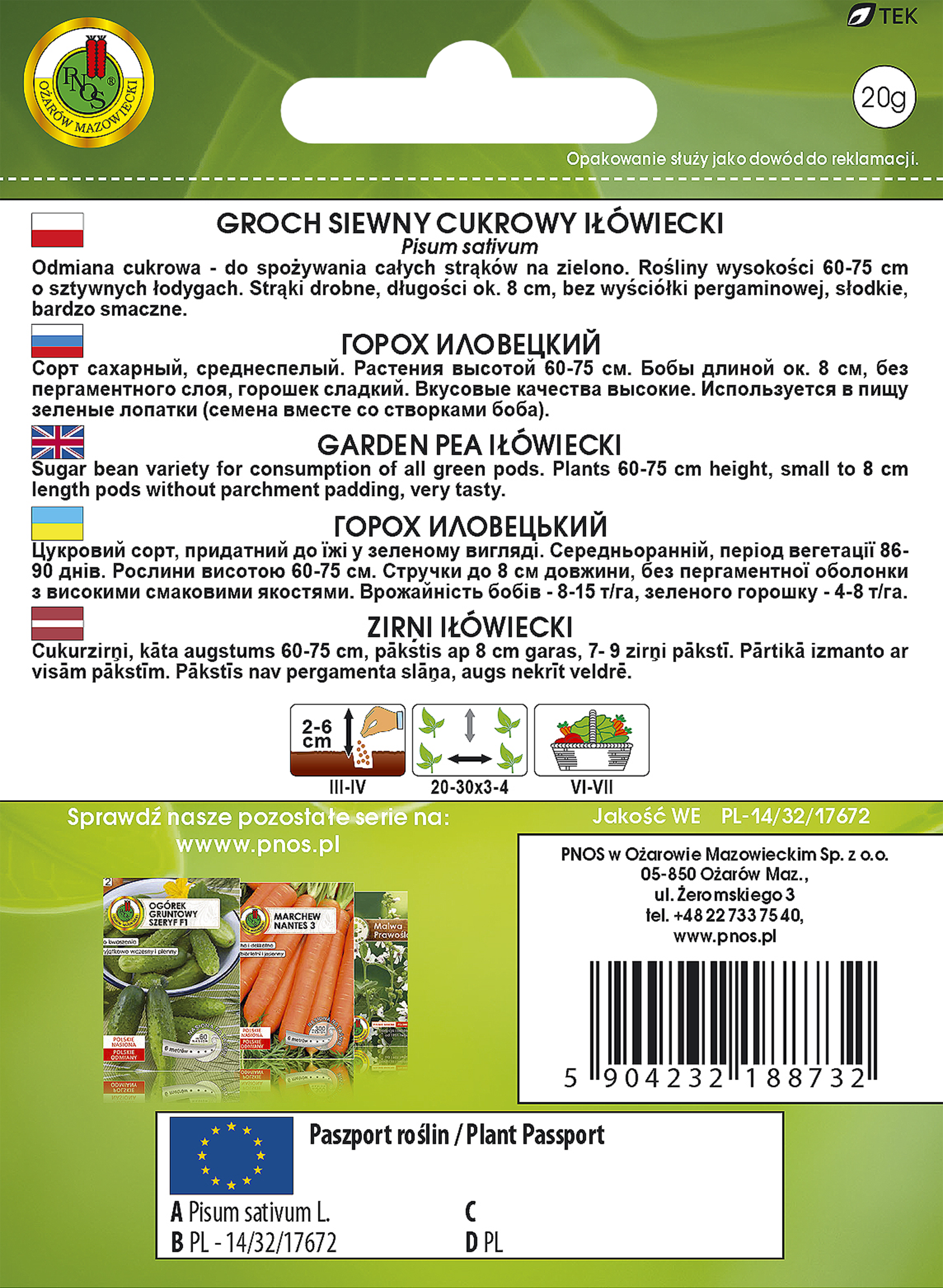 Groch cukrowy Iłówiecki nasiona Pnos - 2