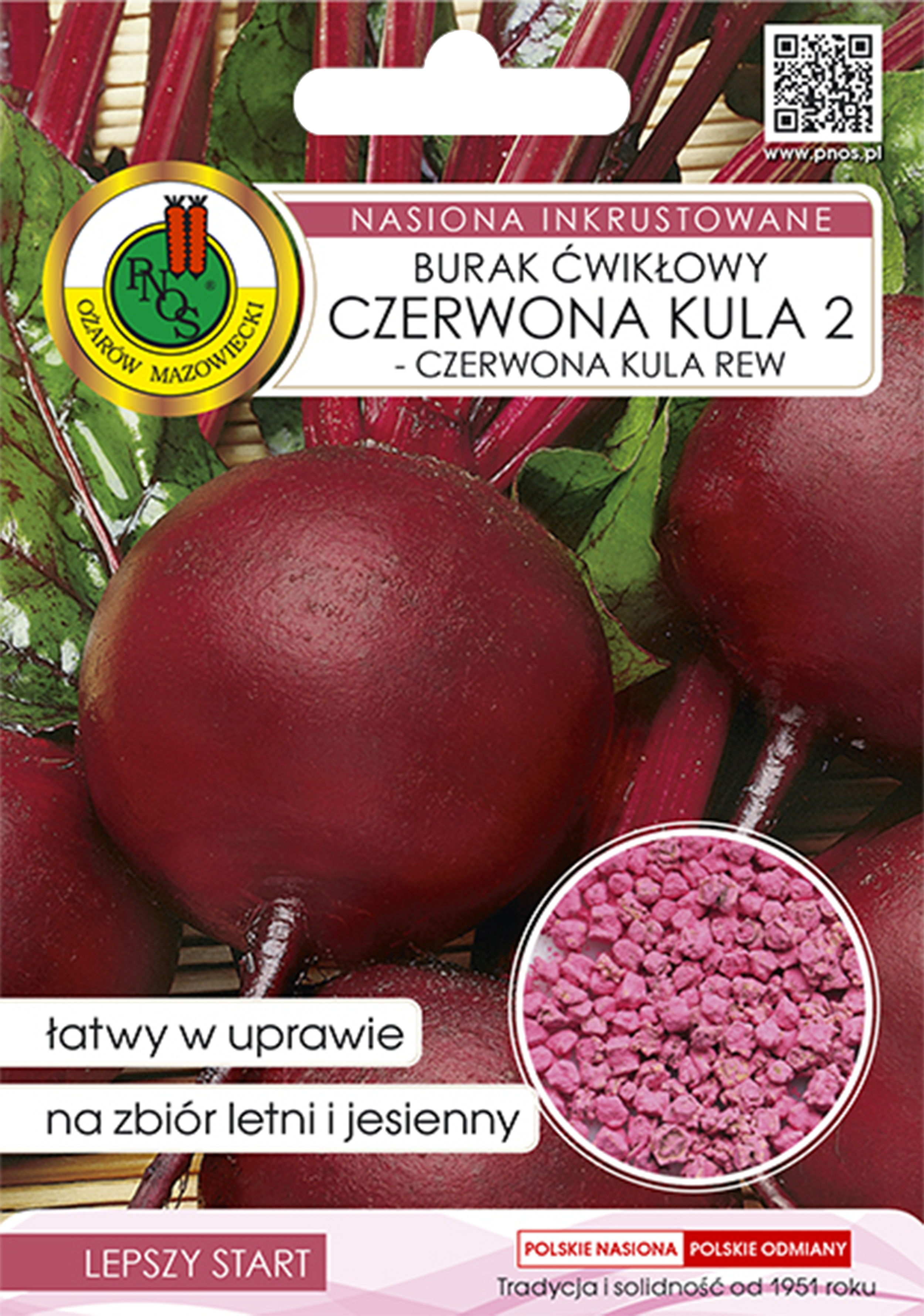 Burak ćwikłowy Czerwona kula 2 nasiona inkrustowane Pnos