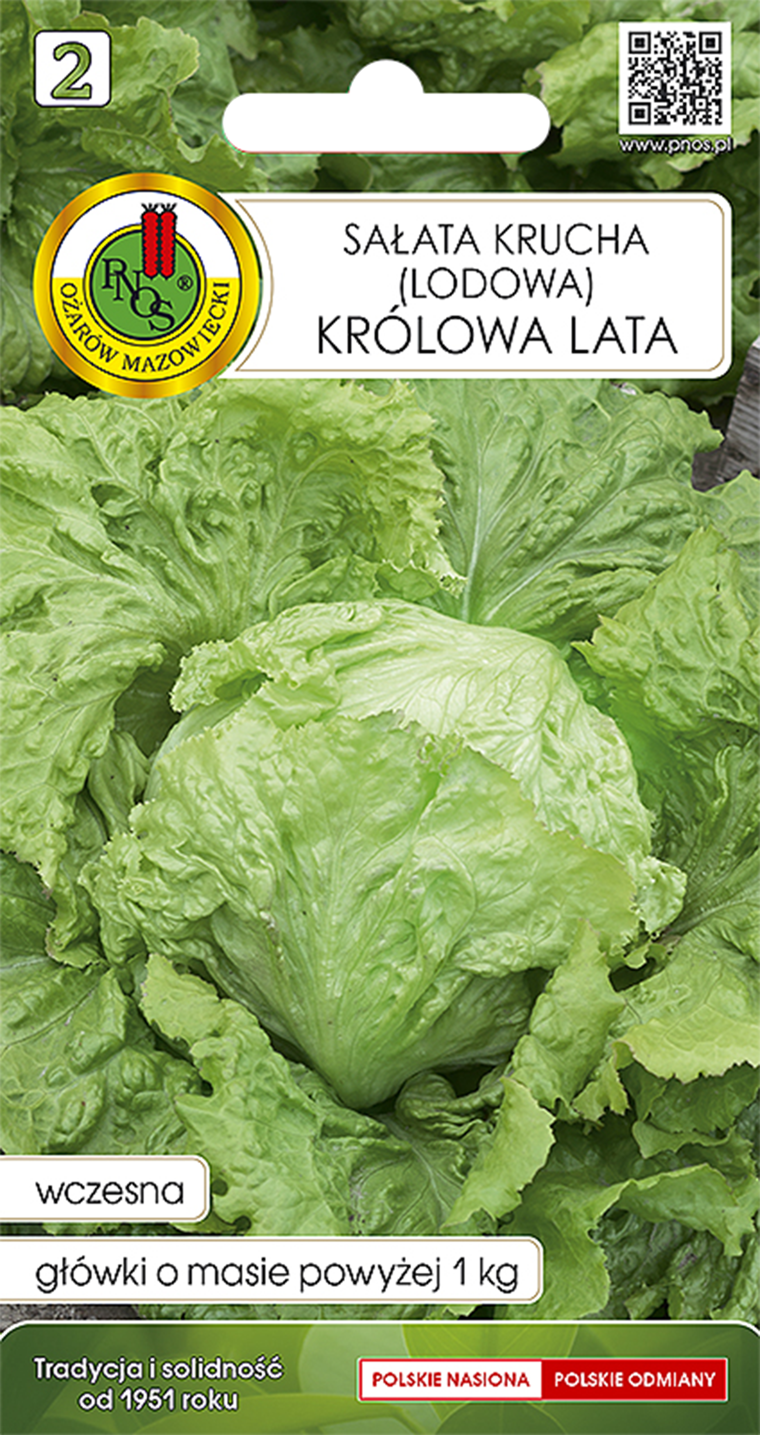 Sałata lodowa krucha Królowa Lata nasiona Pnos